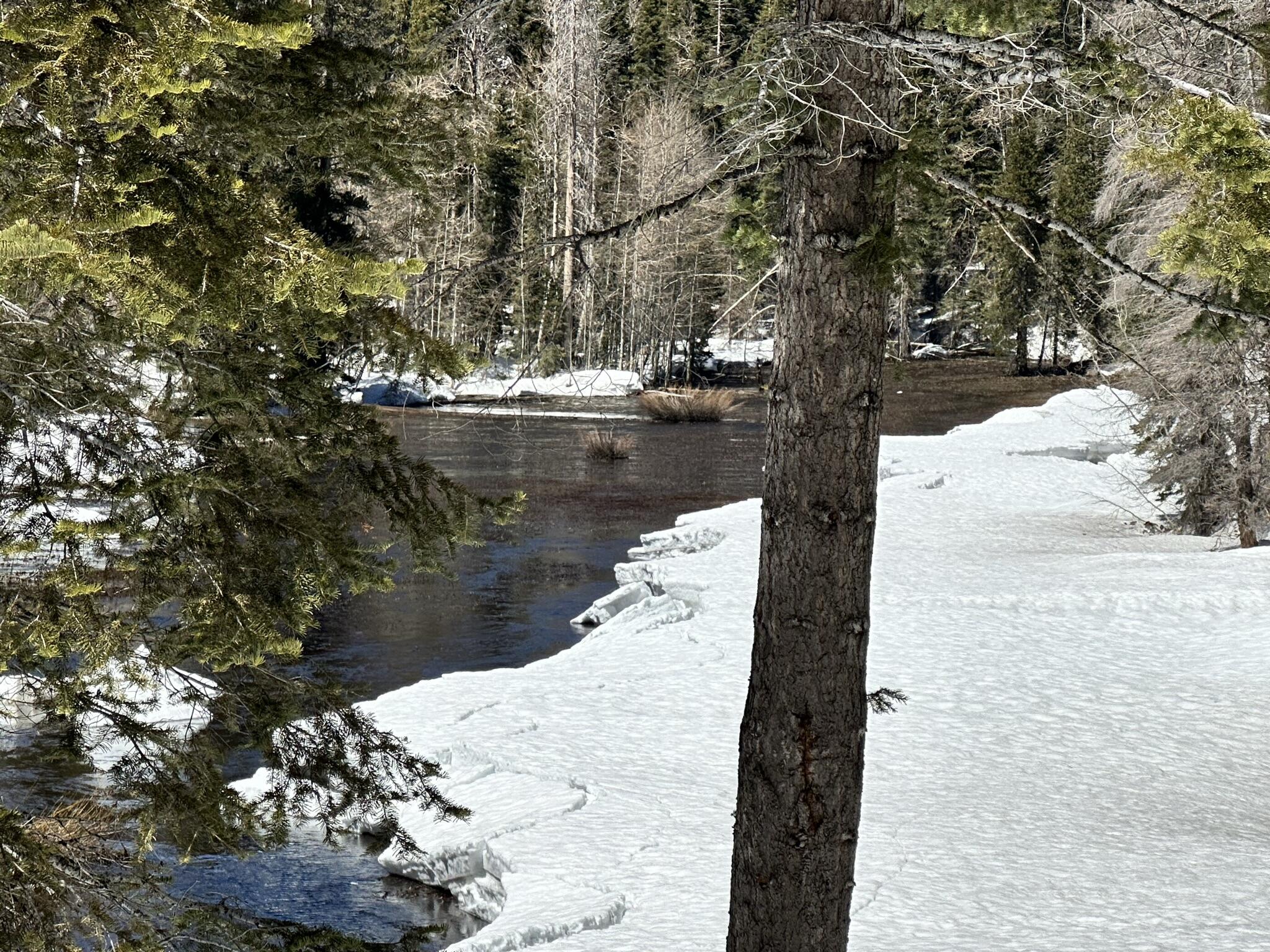 57784 Fawn Dr, Springville, CA 93265