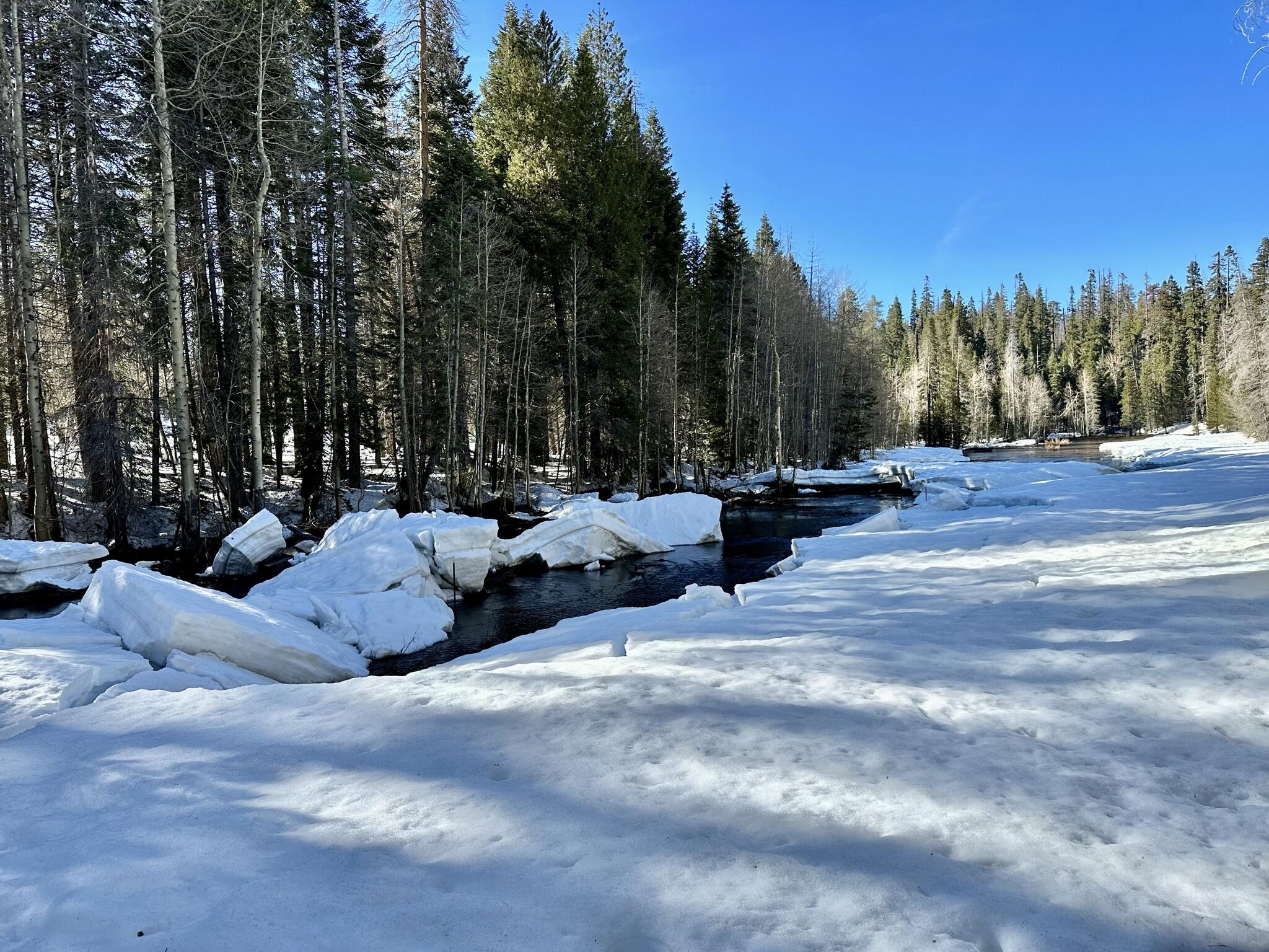 57784 Fawn Dr, Springville, CA 93265