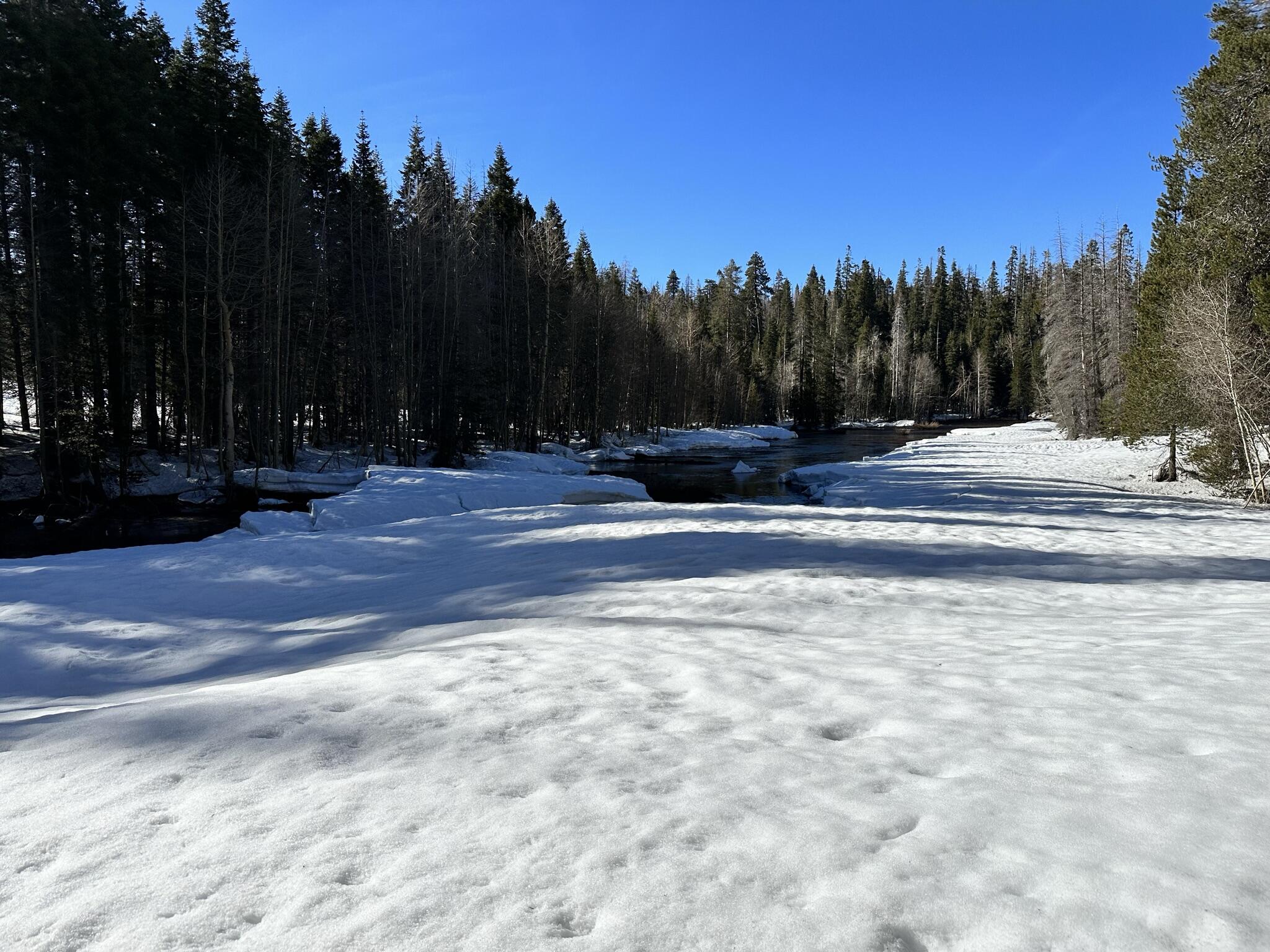 57784 Fawn Dr, Springville, CA 93265