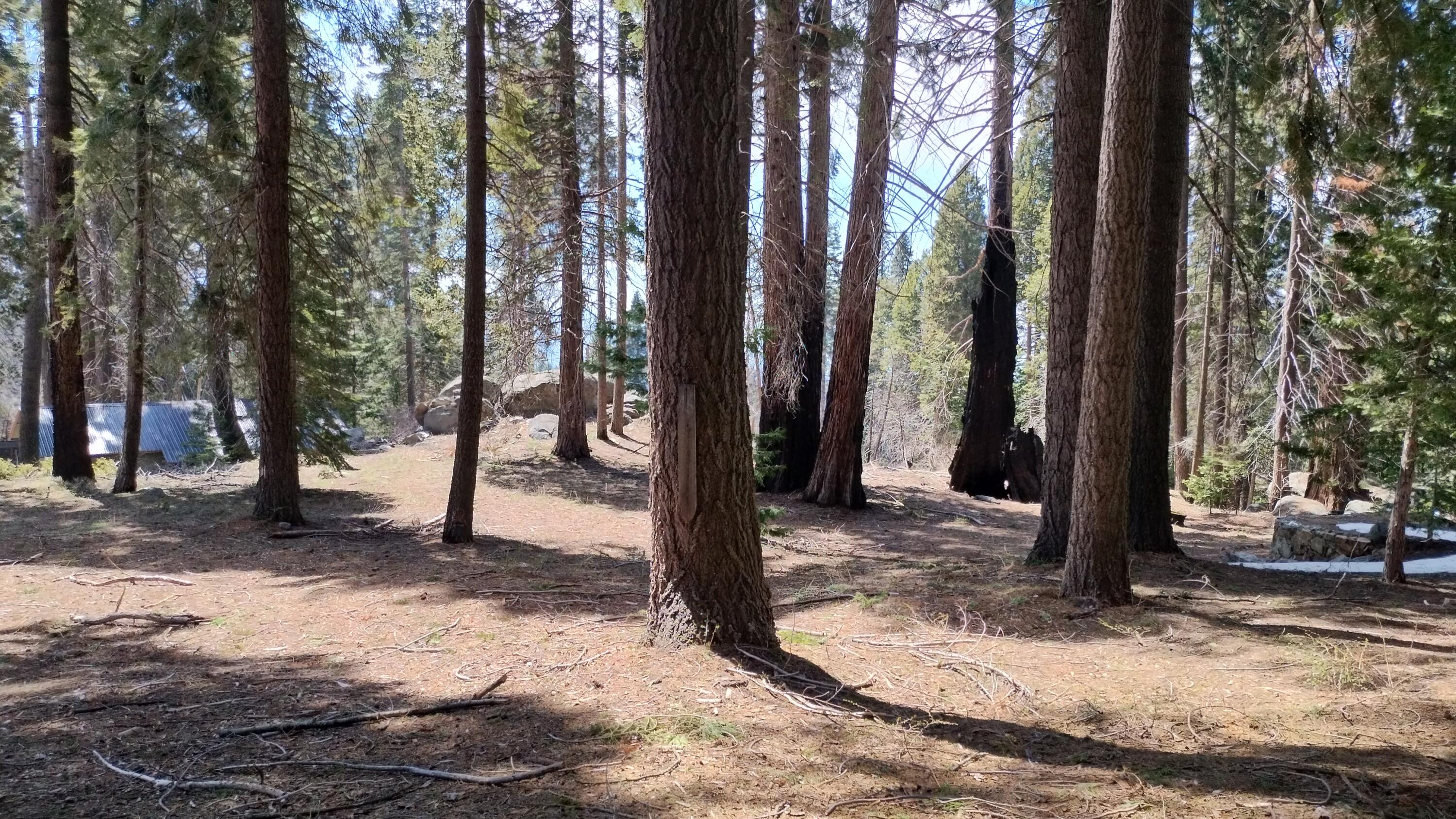 54534 Manzanita Dr, Sequoia Crest, CA 93265