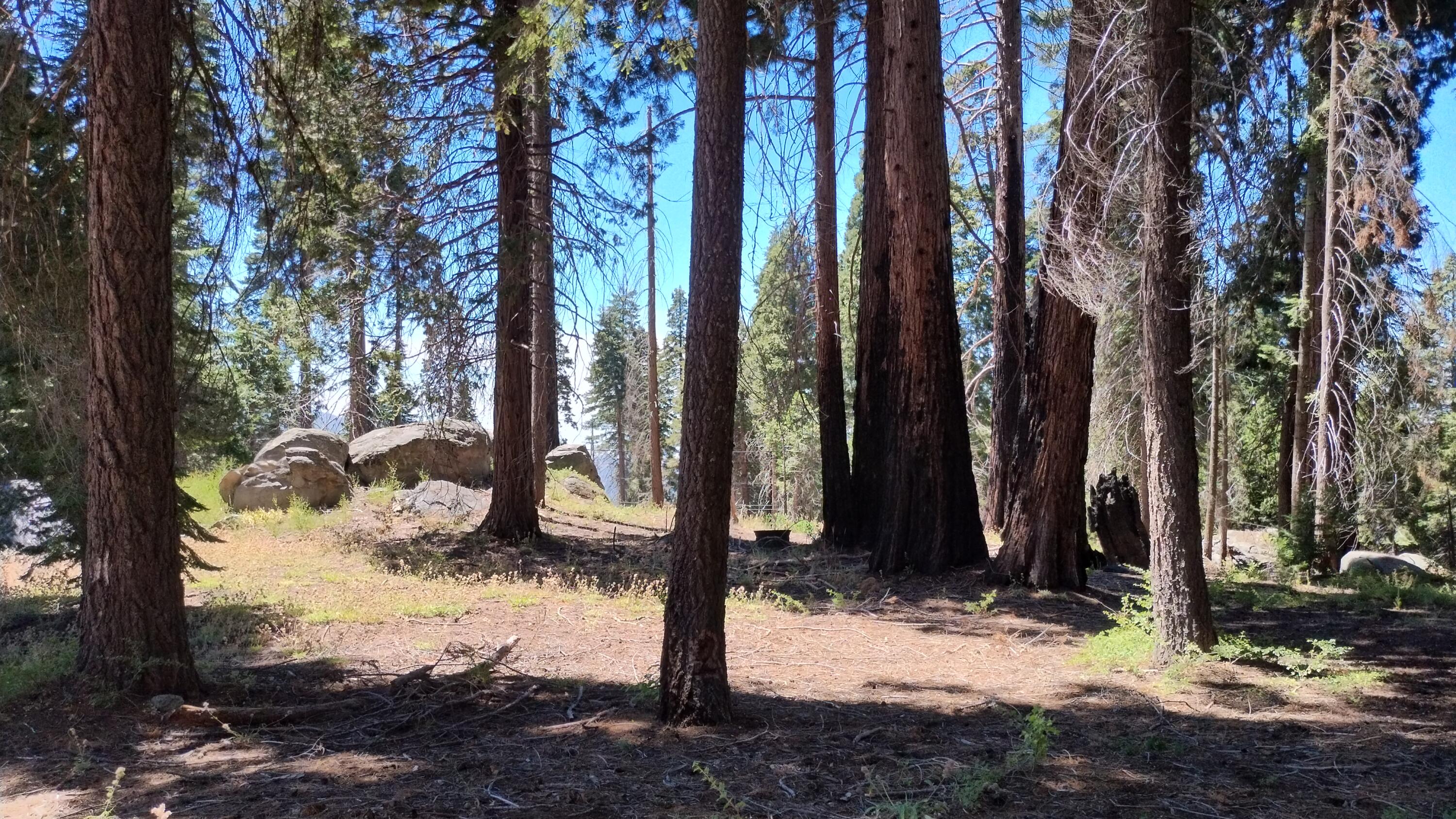 54534 Manzanita Dr, Sequoia Crest, CA 93265