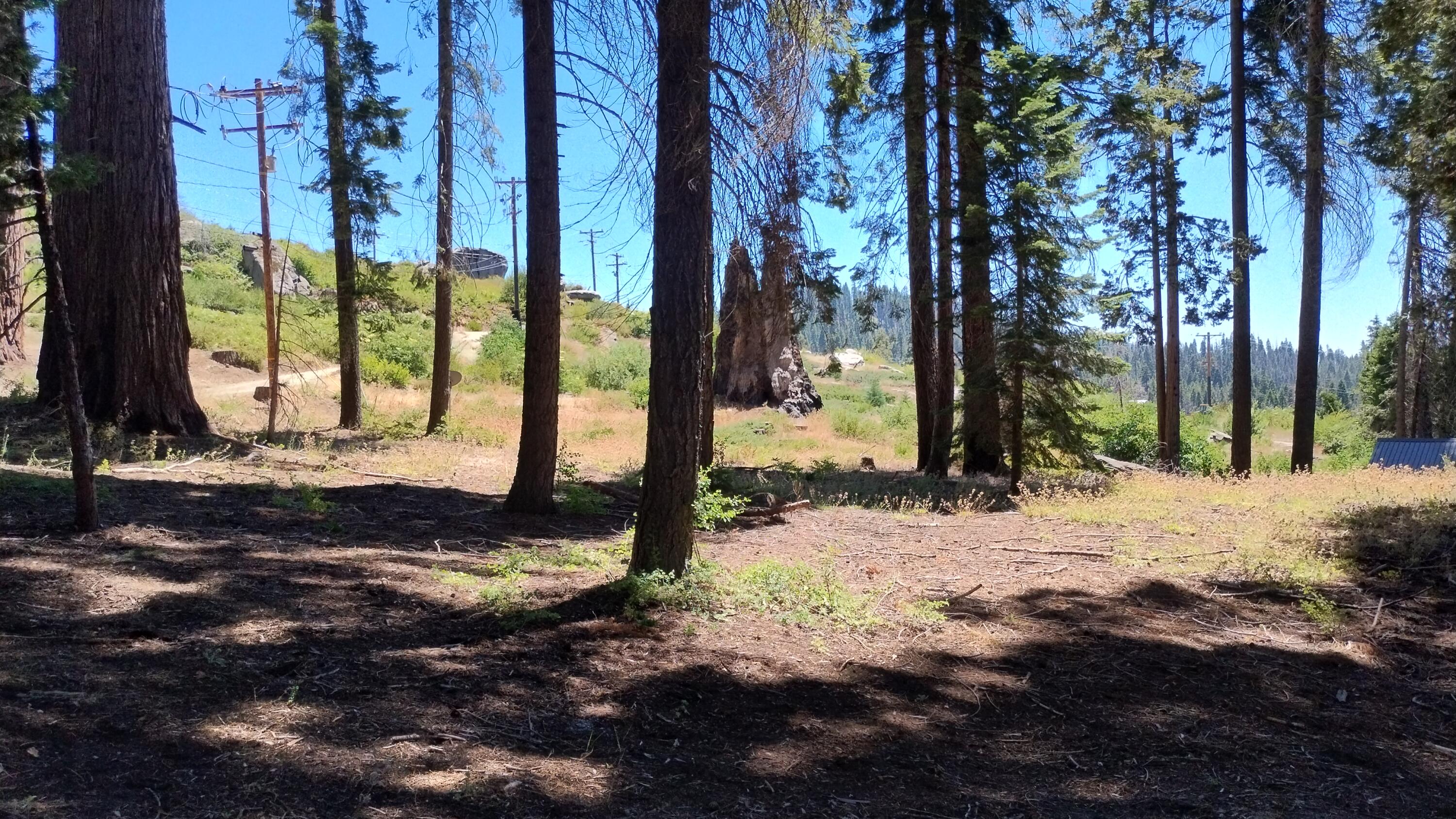 54534 Manzanita Dr, Sequoia Crest, CA 93265