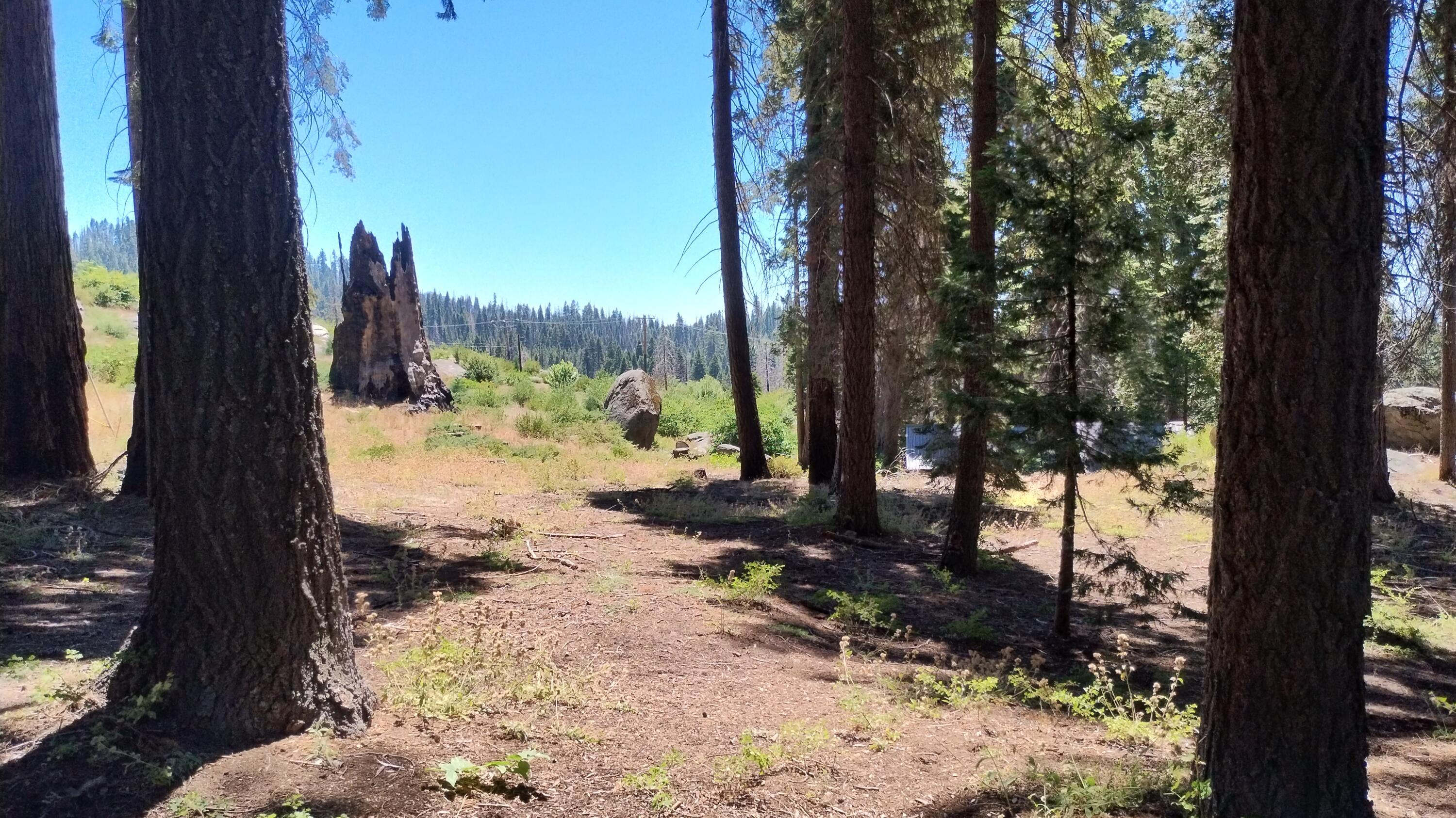 54534 Manzanita Dr, Sequoia Crest, CA 93265