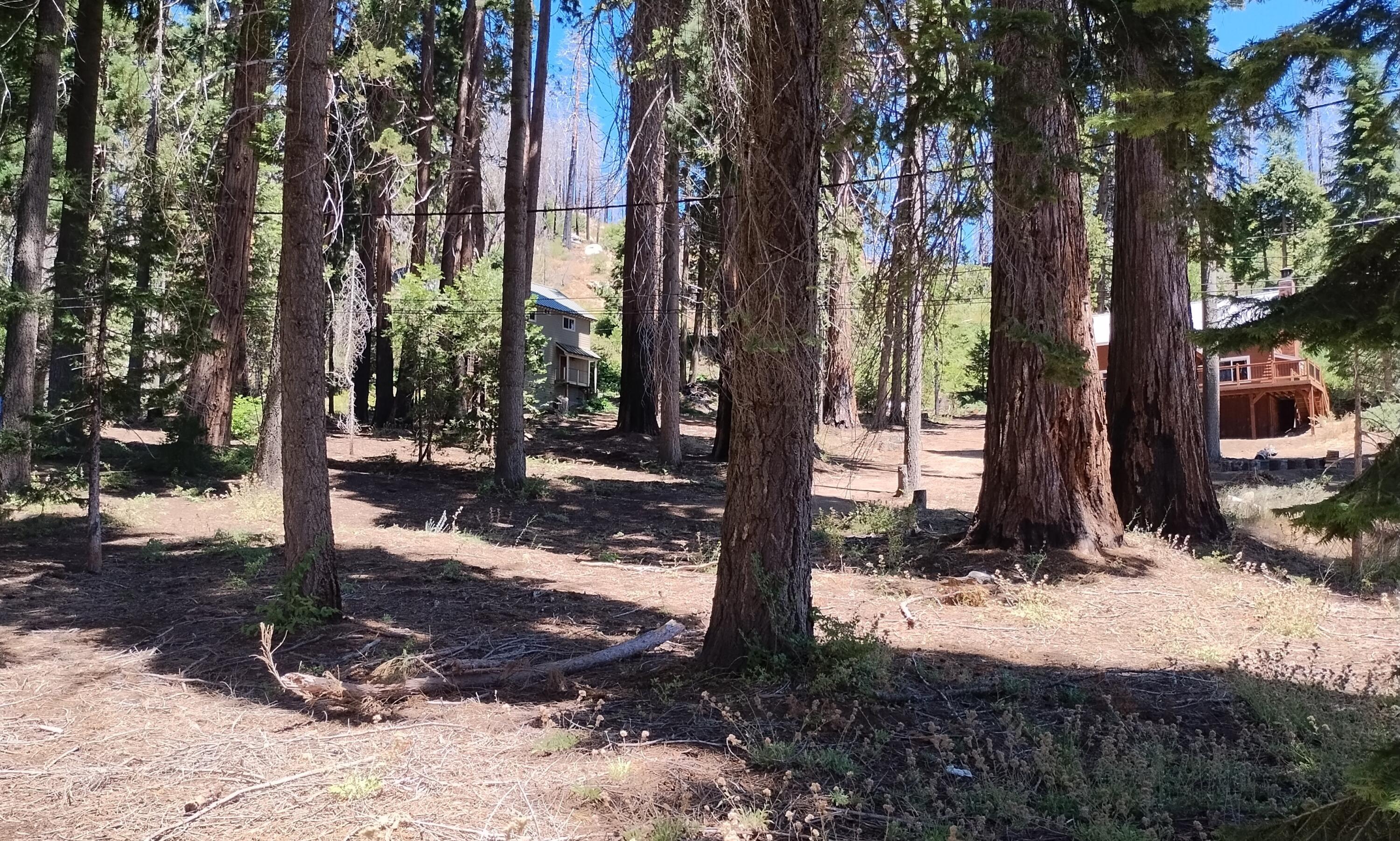 54534 Manzanita Dr, Sequoia Crest, CA 93265