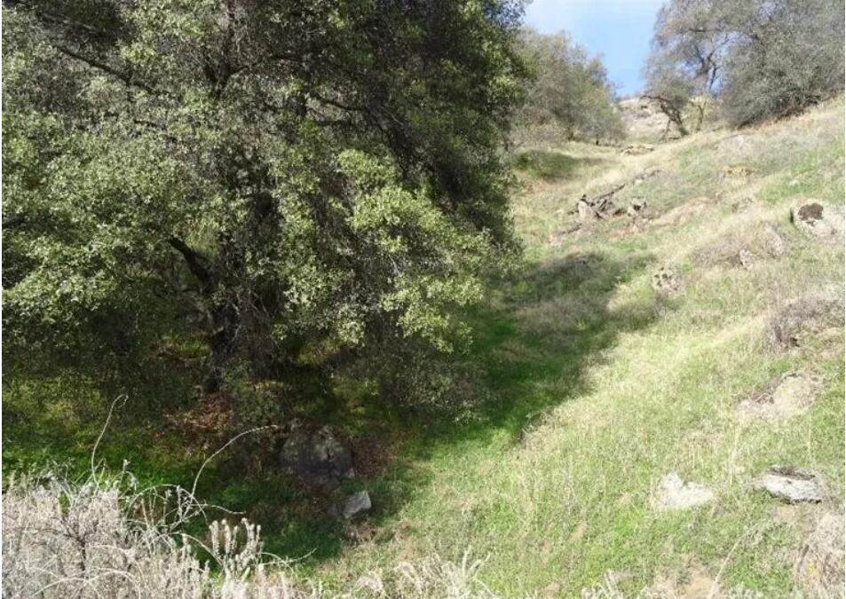 38165 Clearview Ln, Yokuts Valley, CA 93675