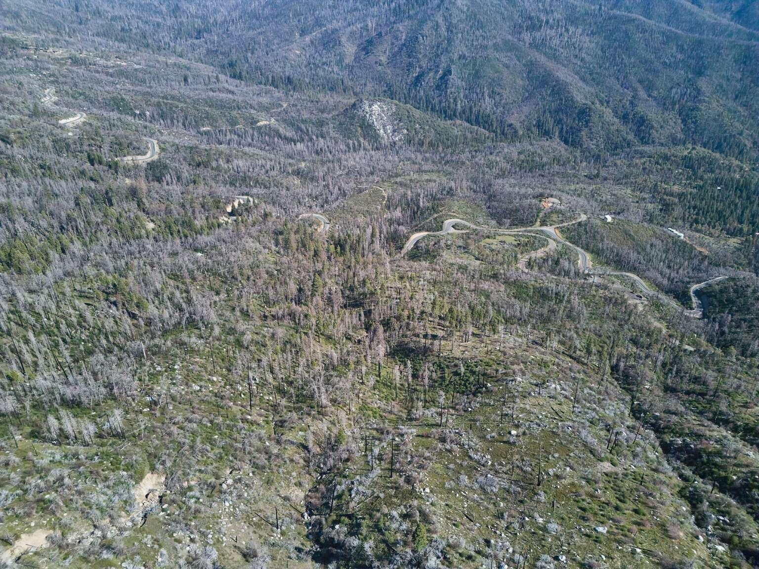 0 Rey Vista Dr, Springville, CA 93265