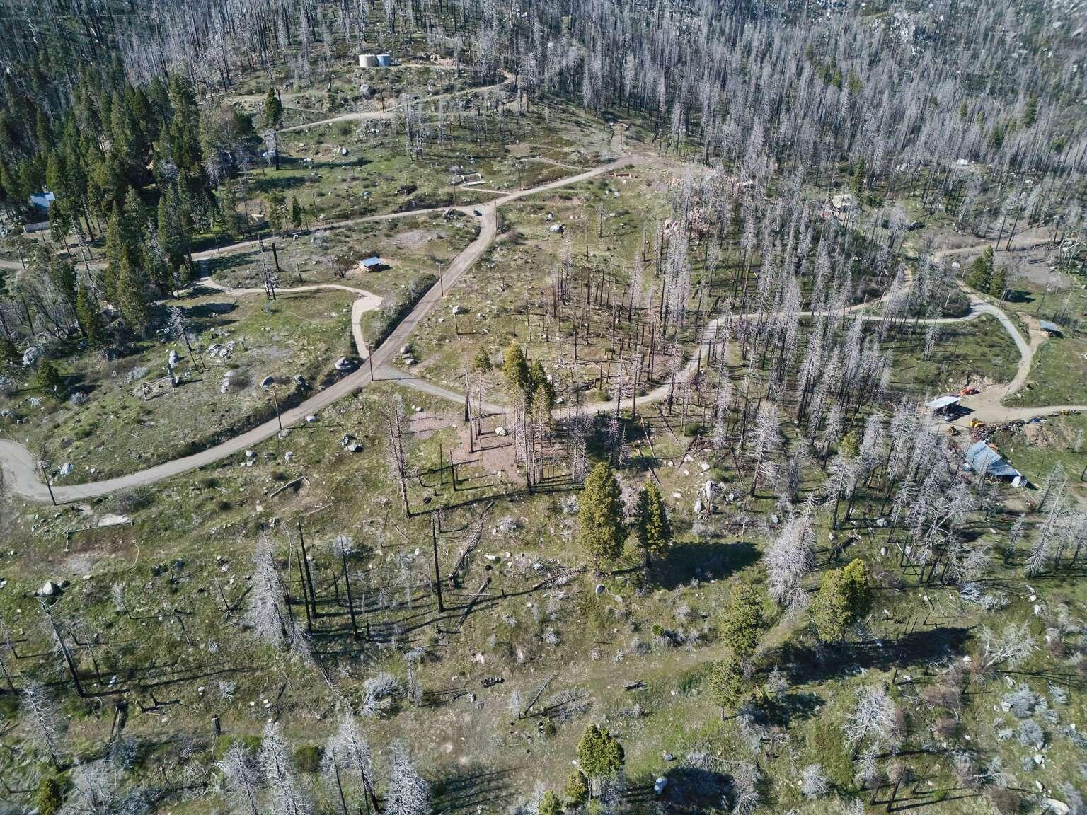 0 Rey Vista Dr, Springville, CA 93265