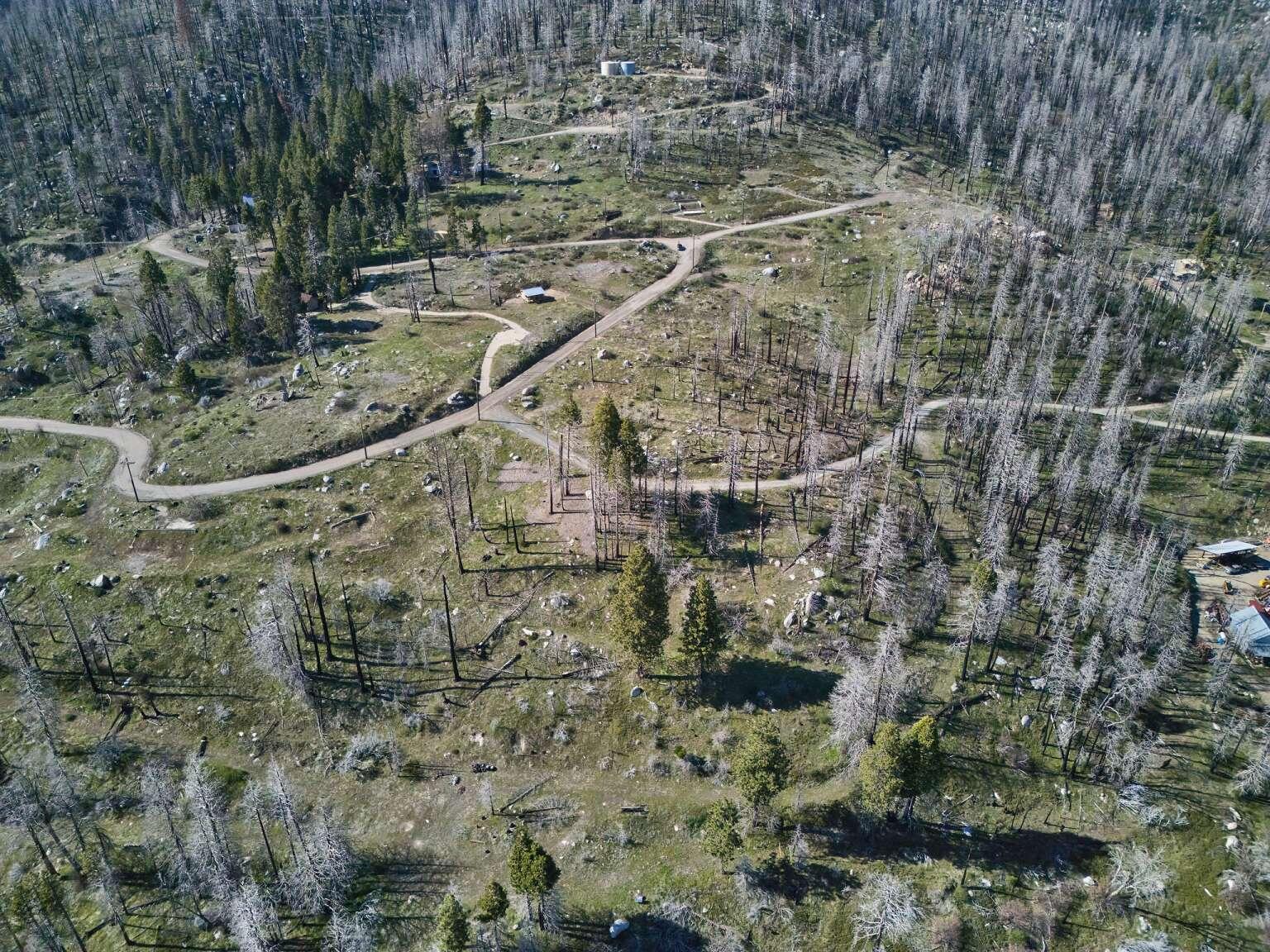 0 Rey Vista Dr, Springville, CA 93265