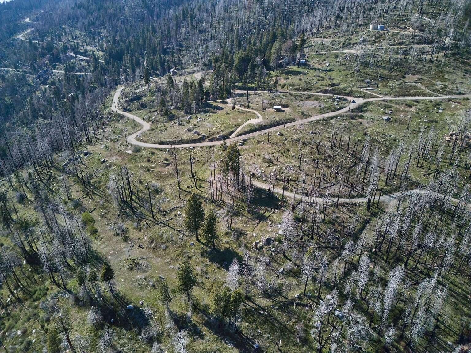 0 Rey Vista Dr, Springville, CA 93265