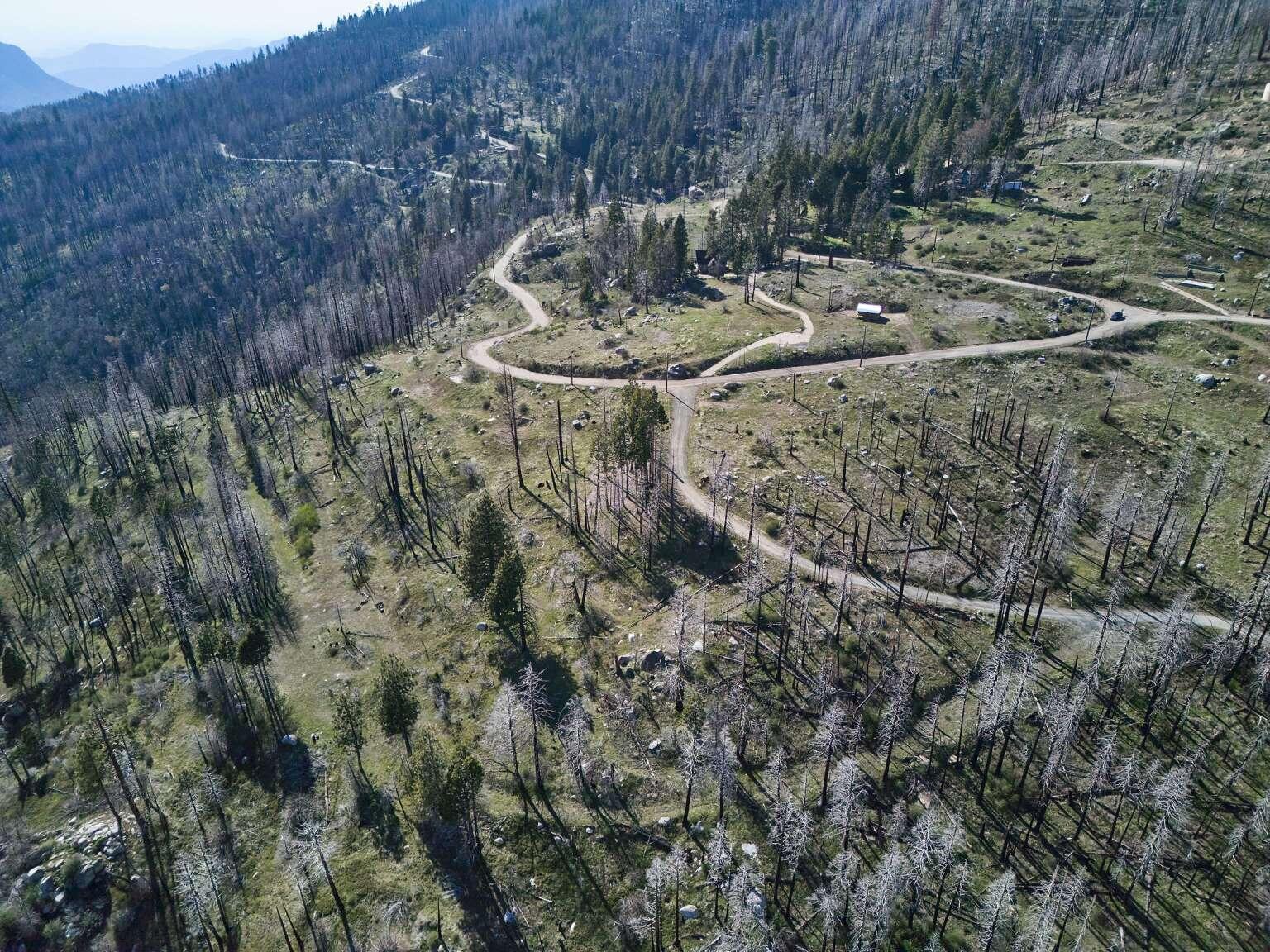 0 Rey Vista Dr, Springville, CA 93265