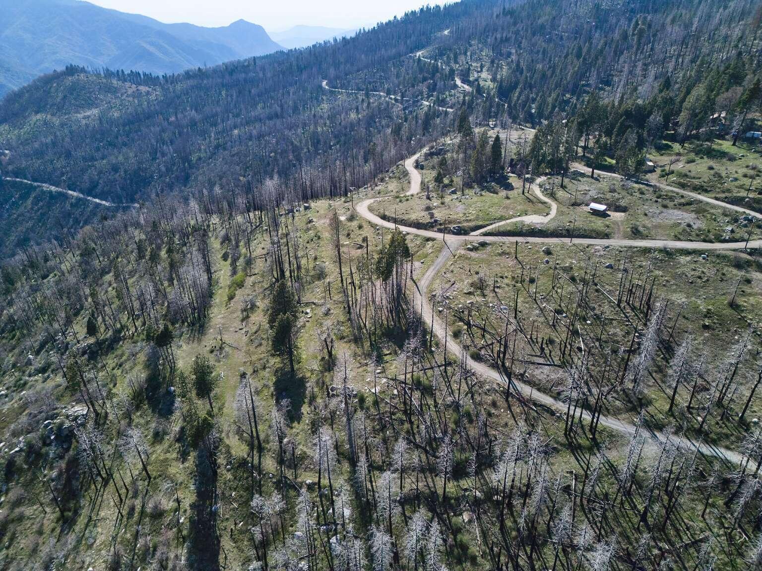 0 Rey Vista Dr, Springville, CA 93265