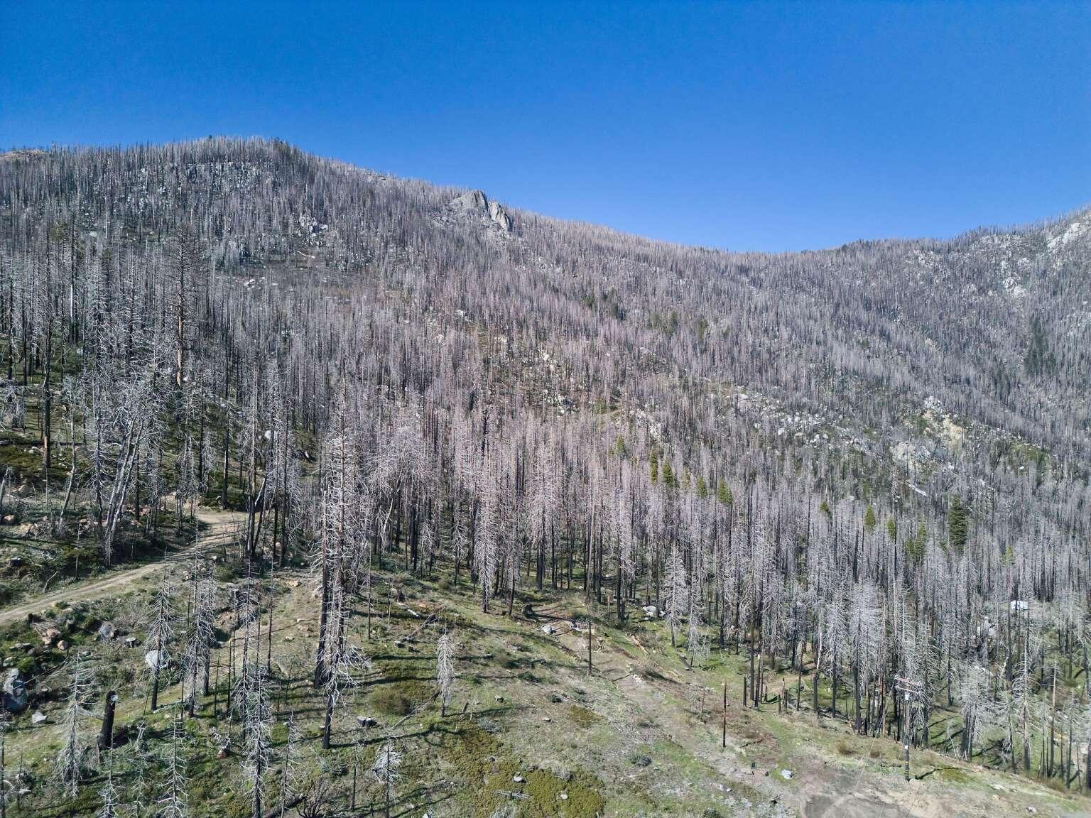 0 Rey Vista Dr, Springville, CA 93265