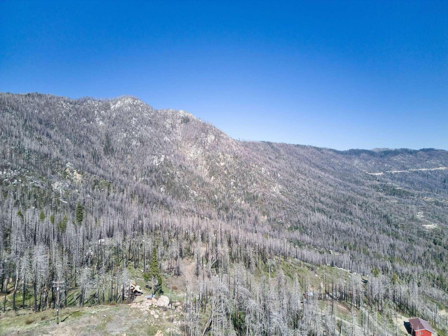 0 Rey Vista Dr, Springville, CA 93265