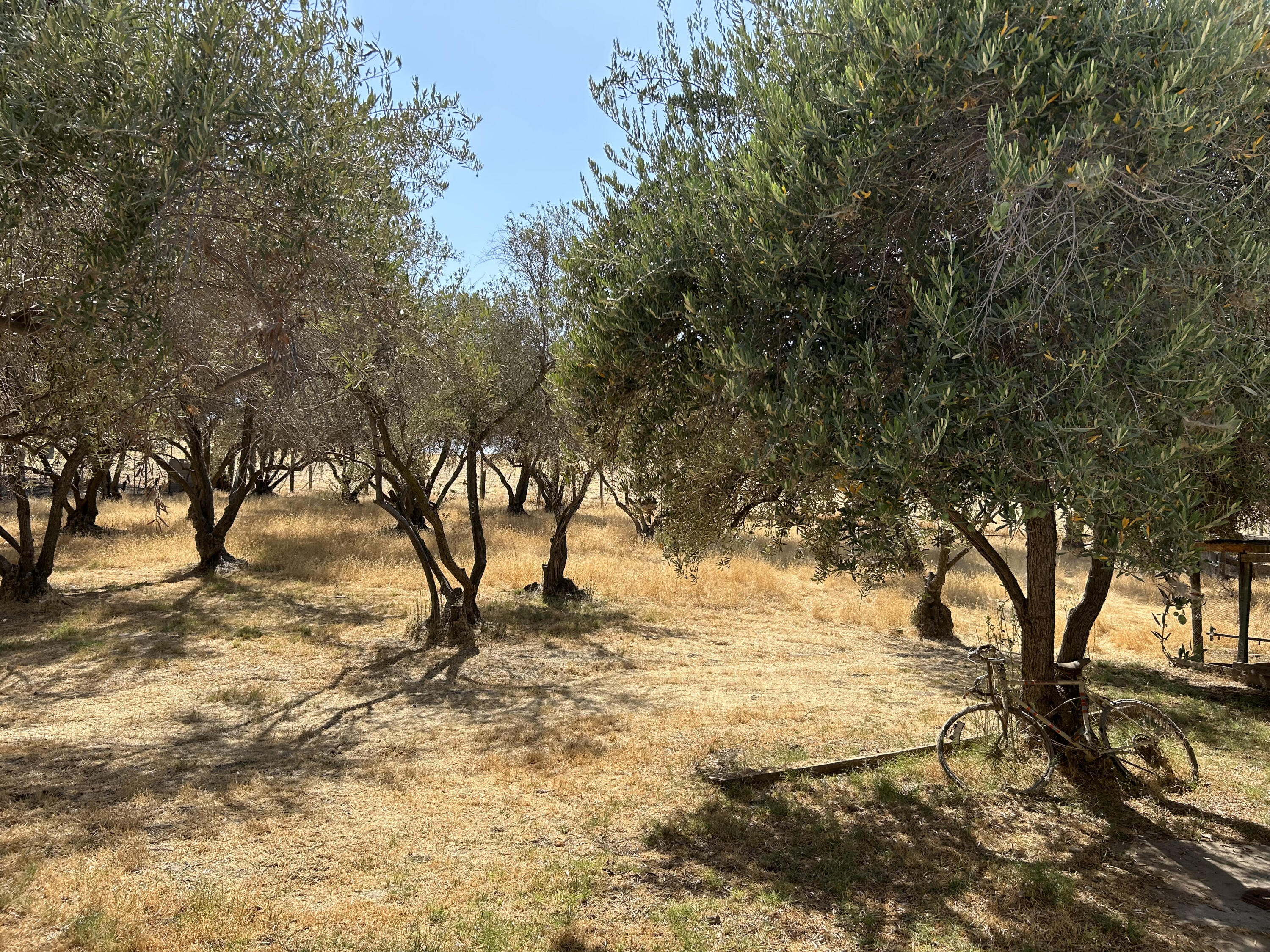 21935 Rd 252, Lindsay, CA 93247