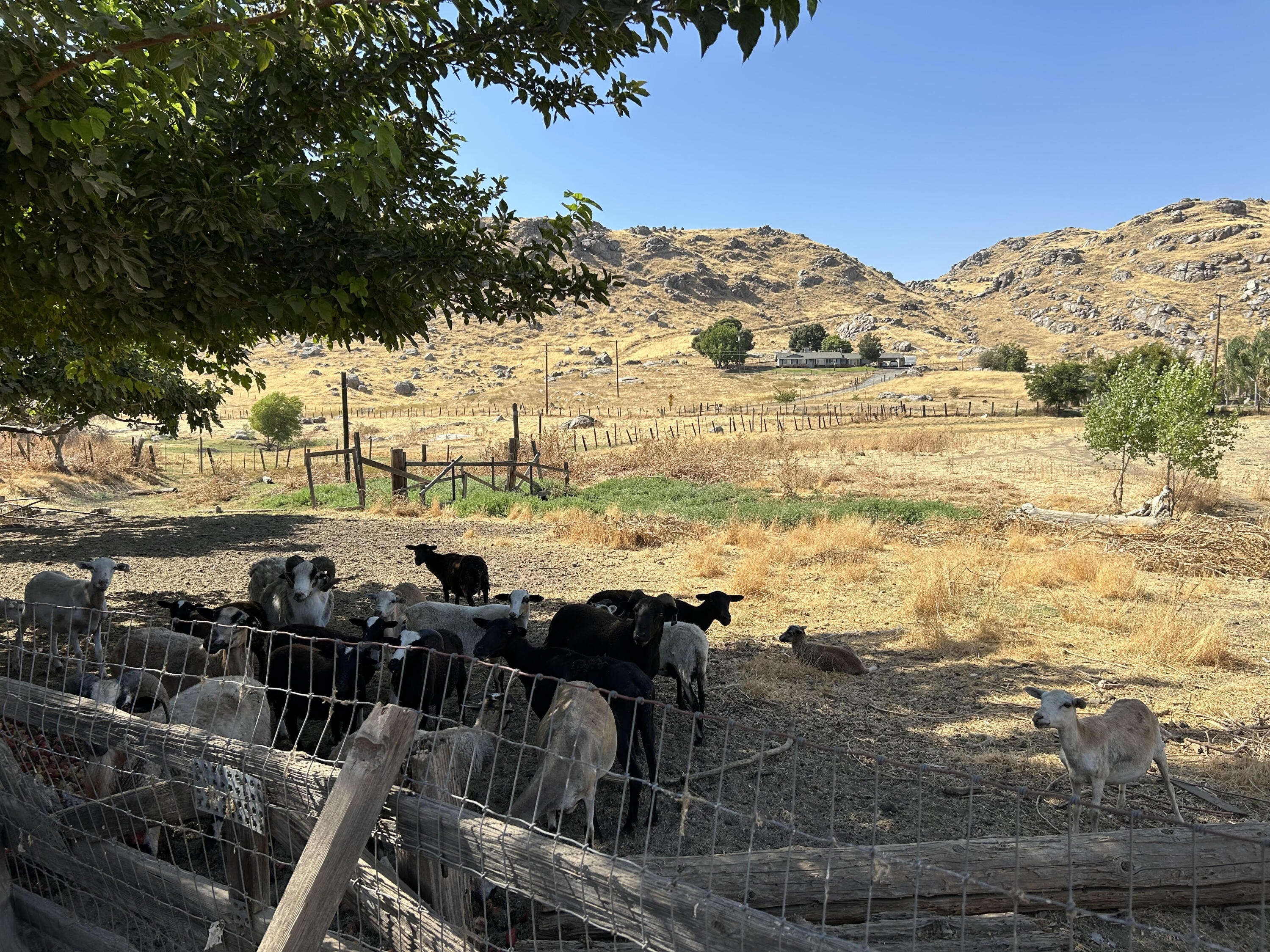 21935 Rd 252, Lindsay, CA 93247