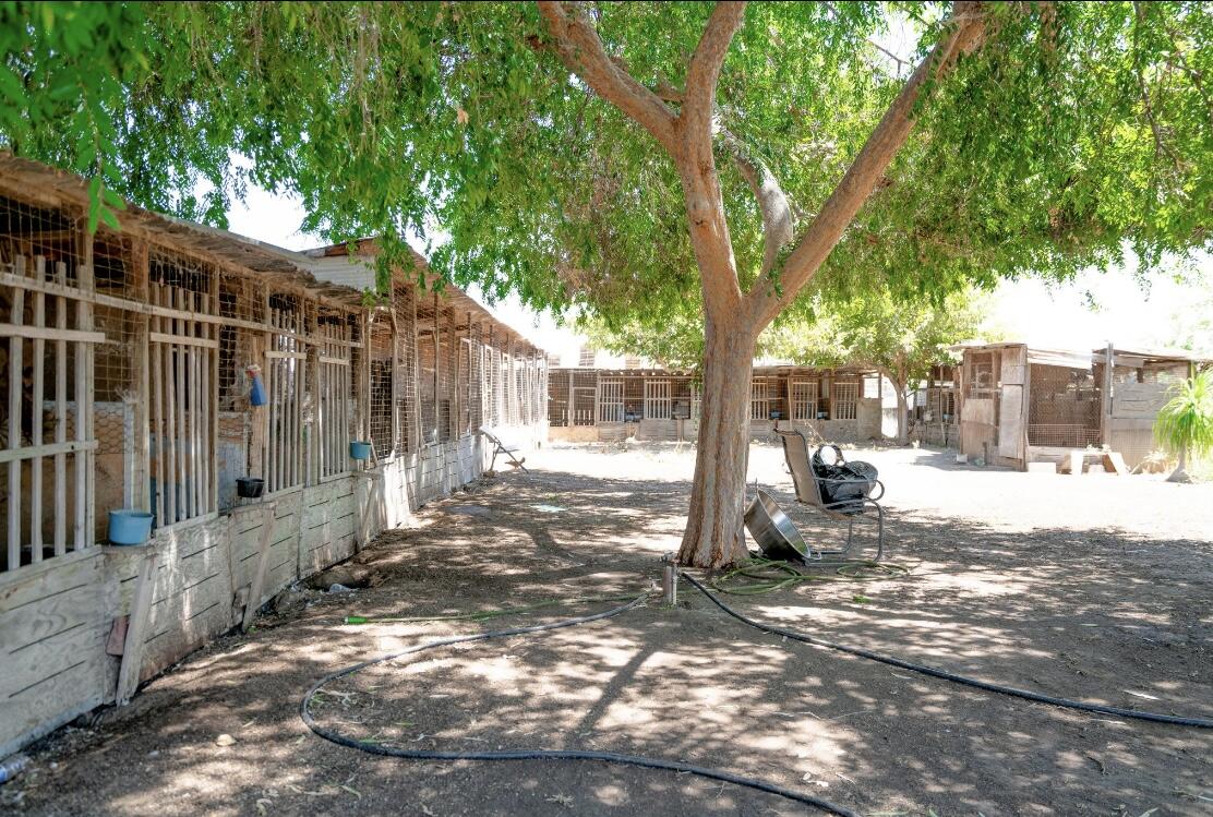 23478 Ave 96, Terra Bella, CA 93270