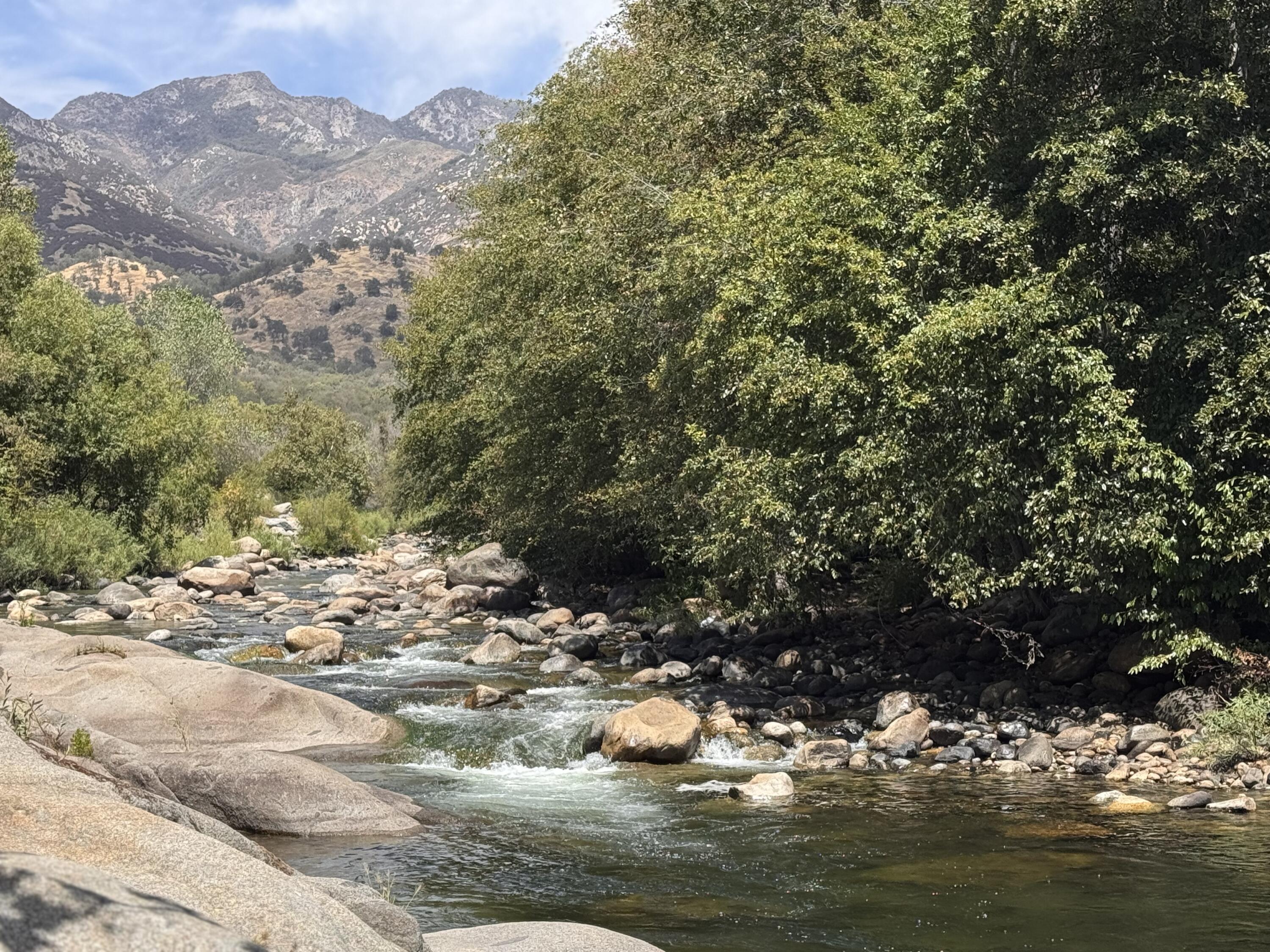 44452 Dinely Dr Dr, Three Rivers, CA 93271