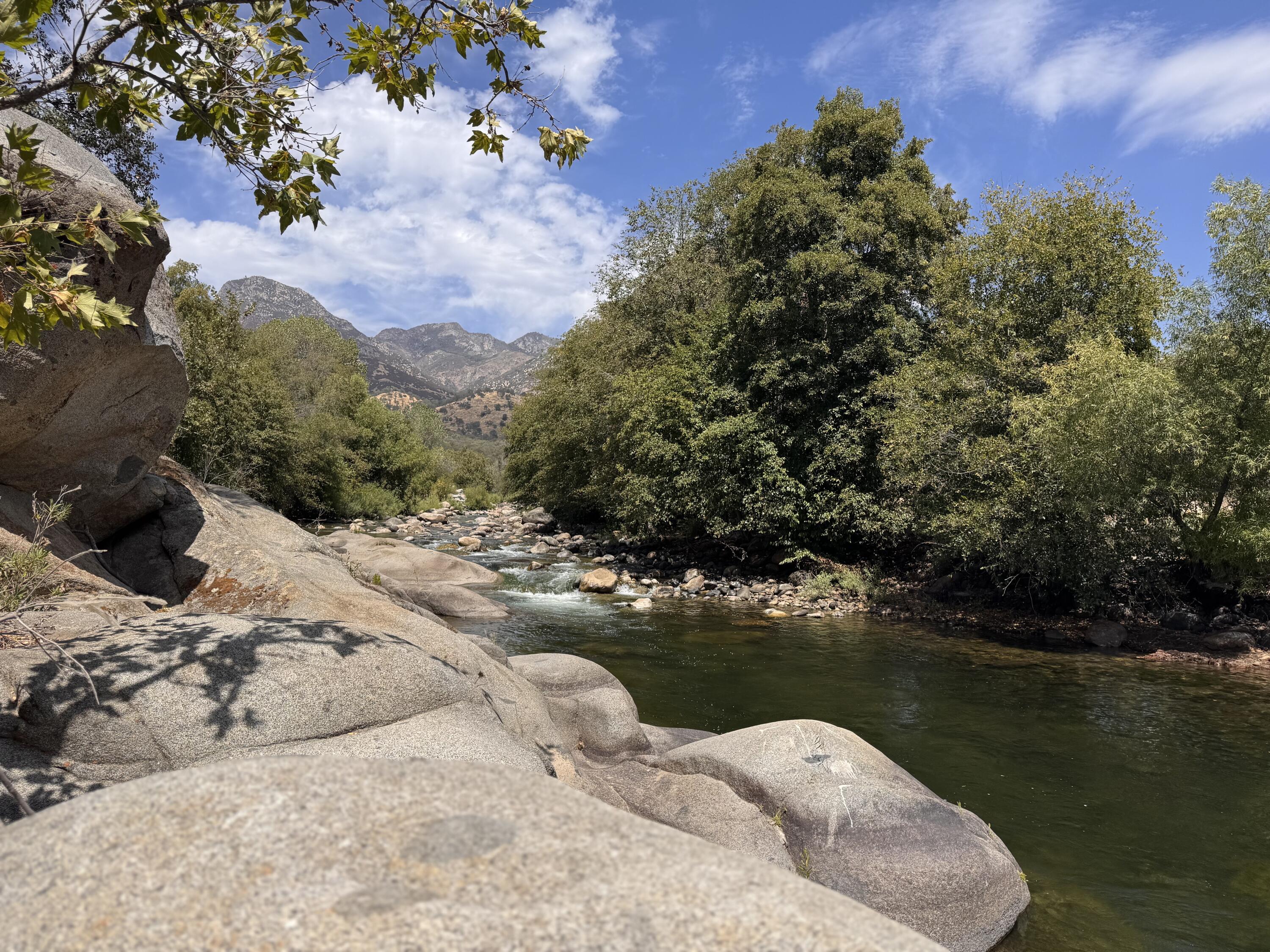 44452 Dinely Dr Dr, Three Rivers, CA 93271