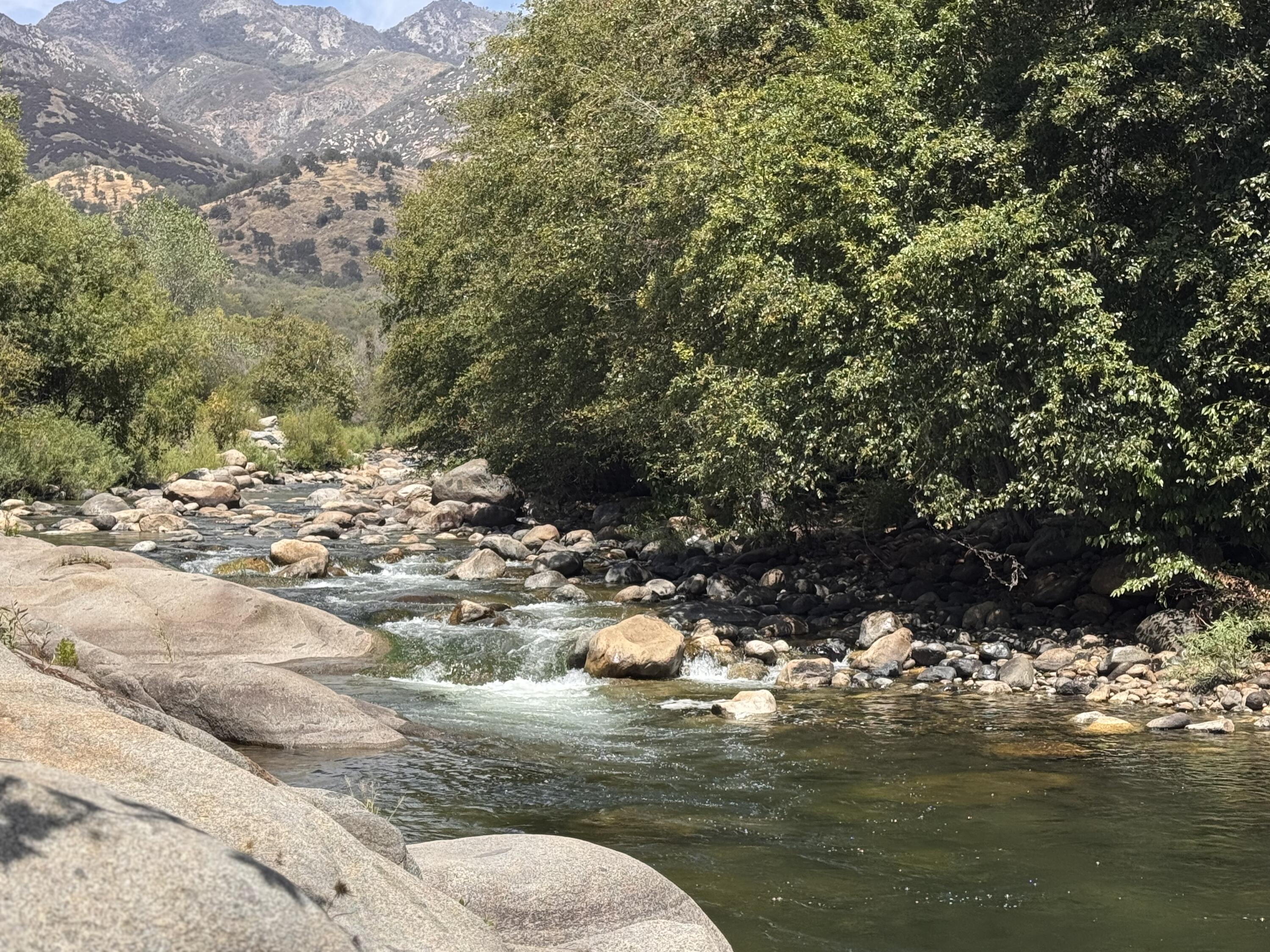 44452 Dinely Dr Dr, Three Rivers, CA 93271