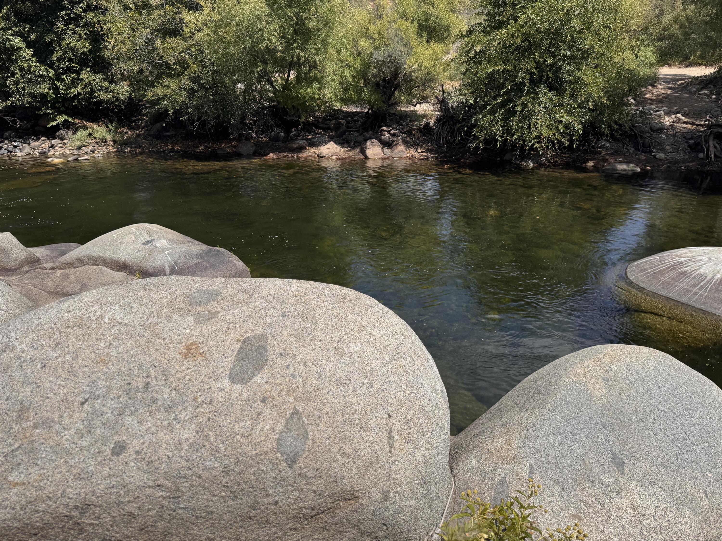 44452 Dinely Dr Dr, Three Rivers, CA 93271