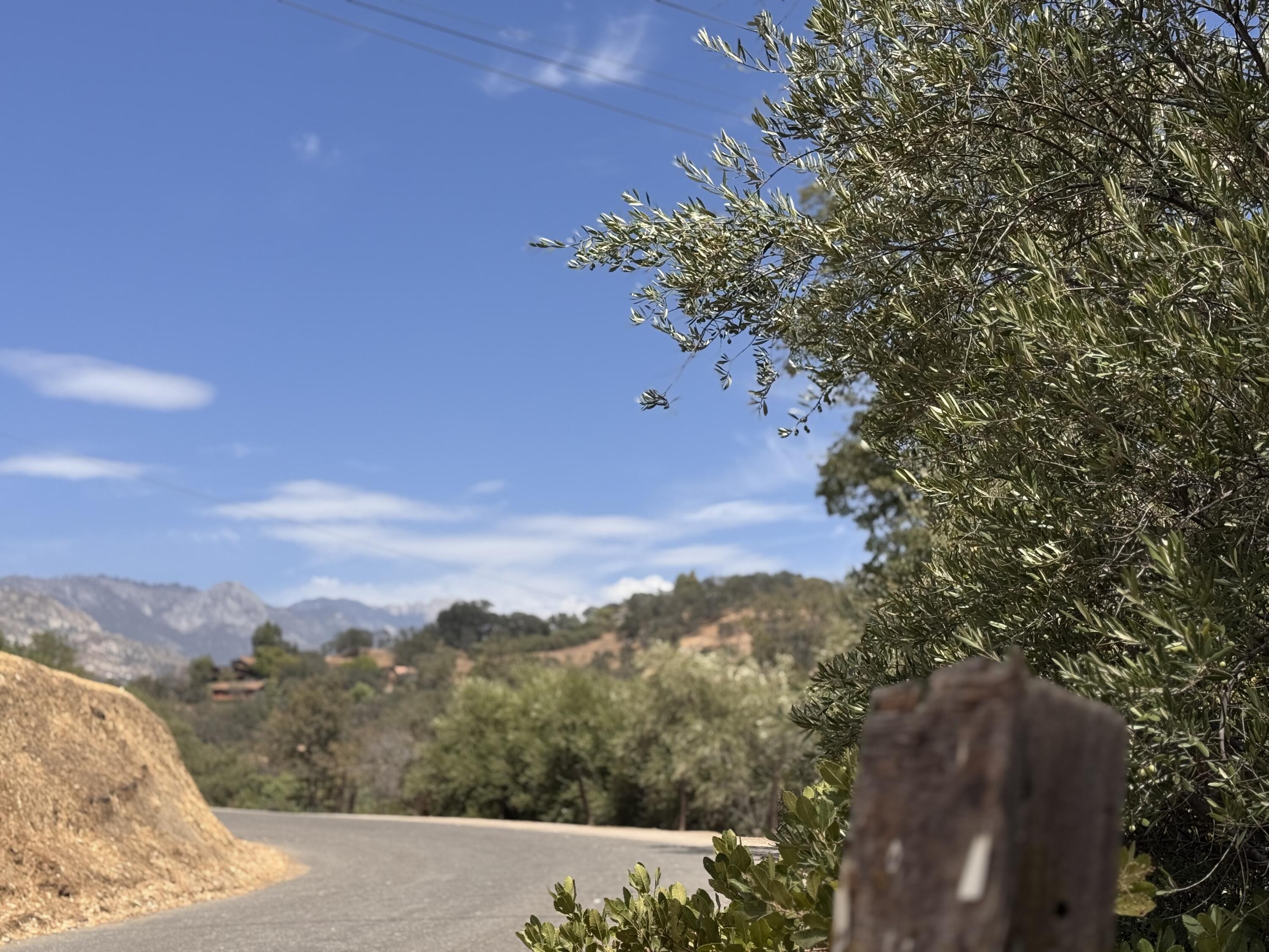 44452 Dinely Dr Dr, Three Rivers, CA 93271