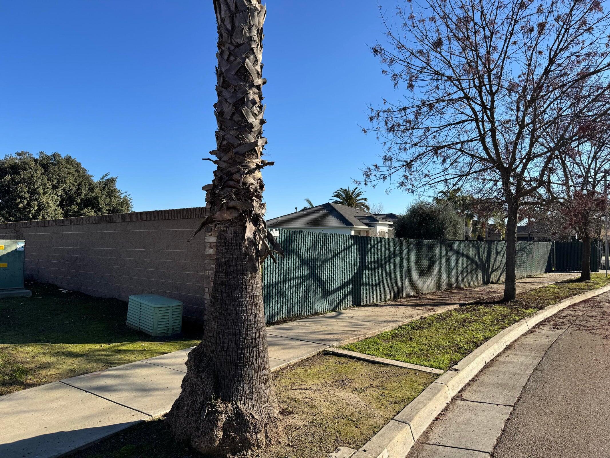 2650 N Kayenta St, Visalia, CA 93291