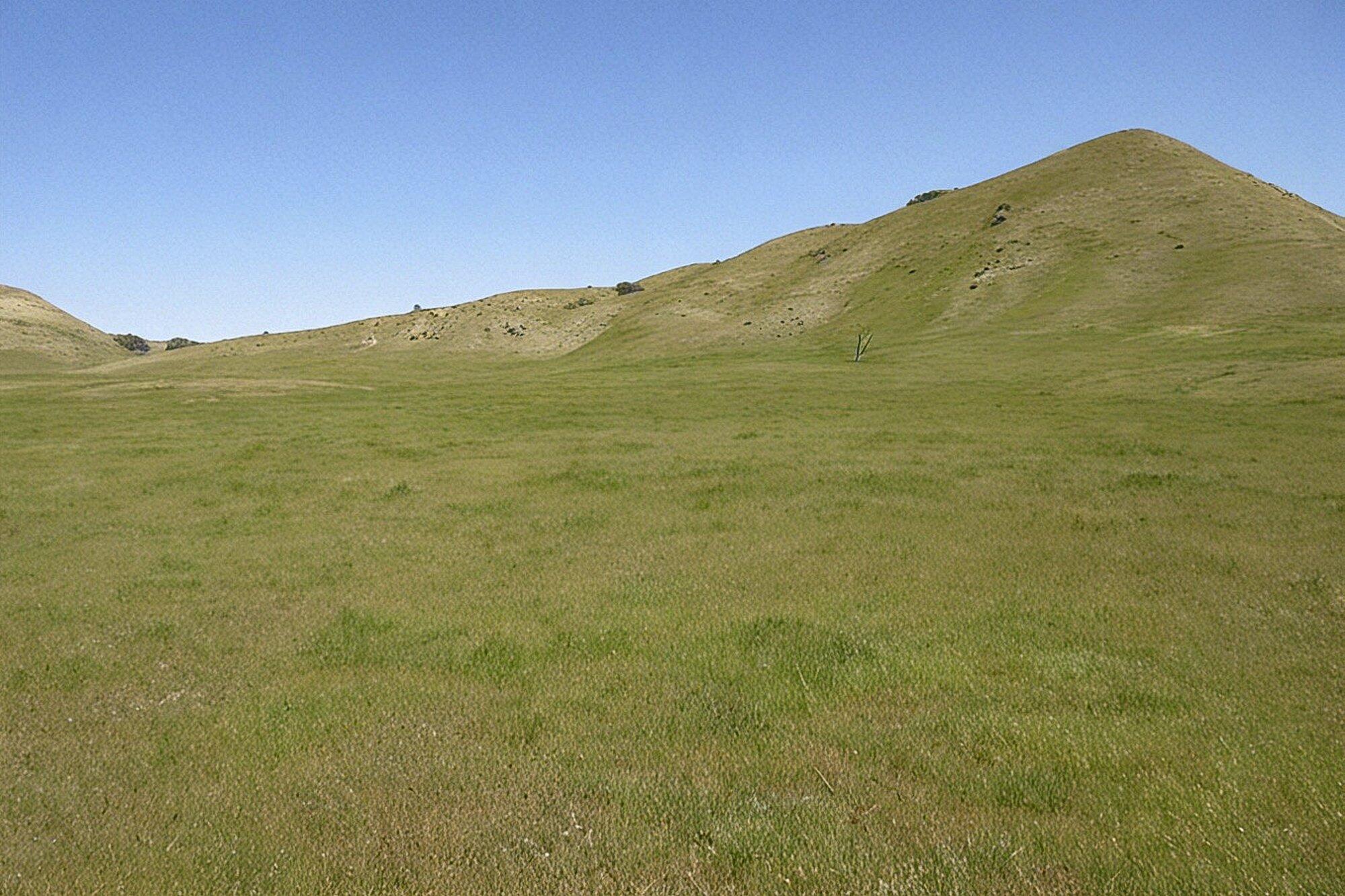 0 Hwy 198, Coalinga, CA 93210