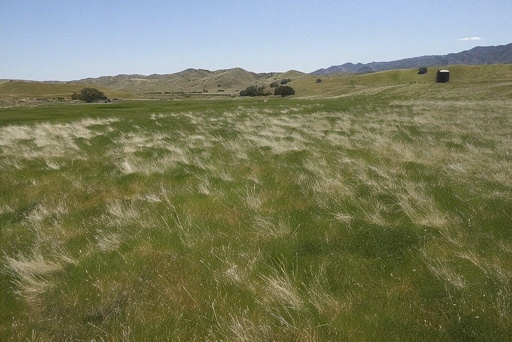 0 Hwy 198, Coalinga, CA 93210