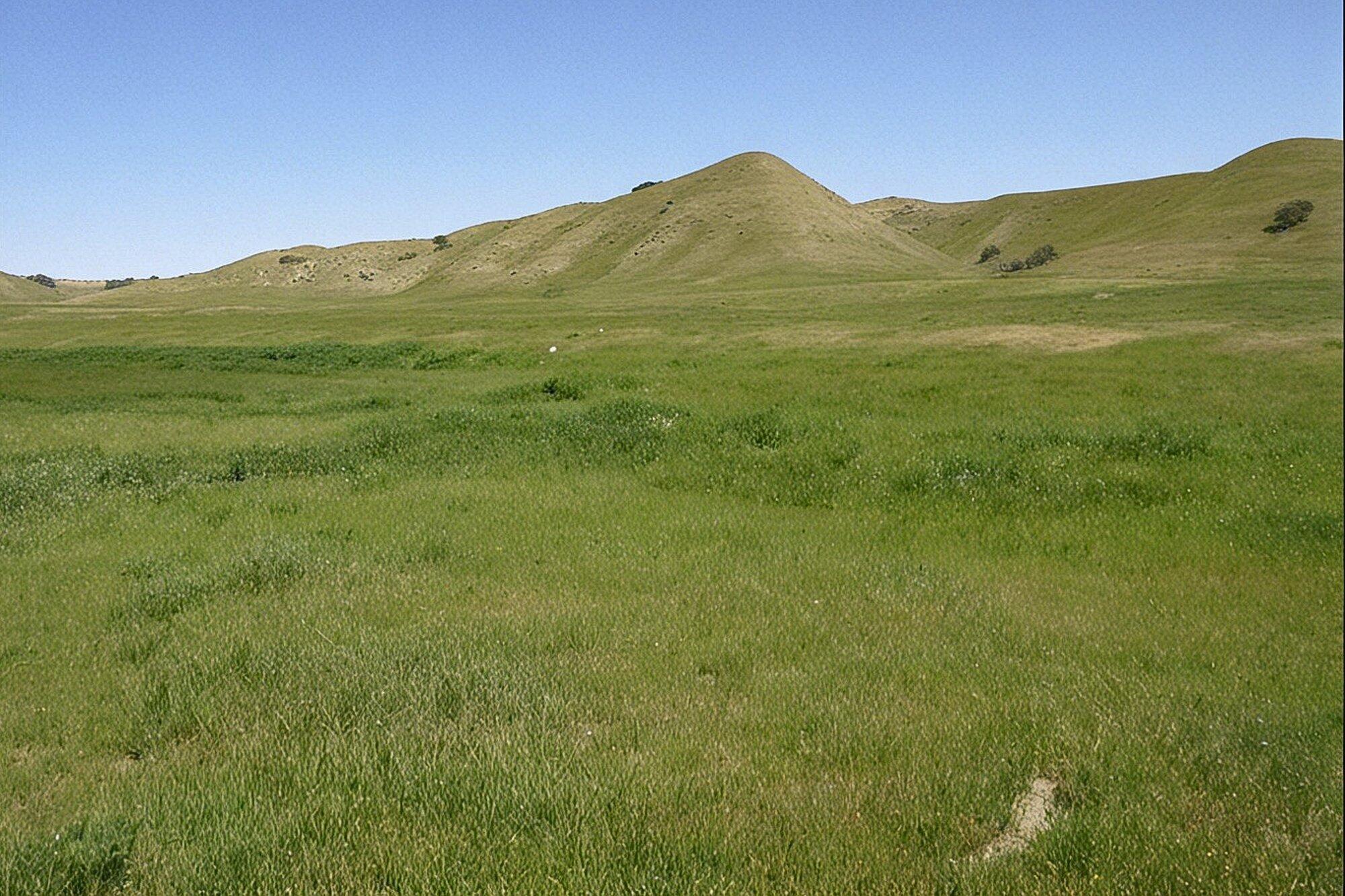 0 Hwy 198, Coalinga, CA 93210