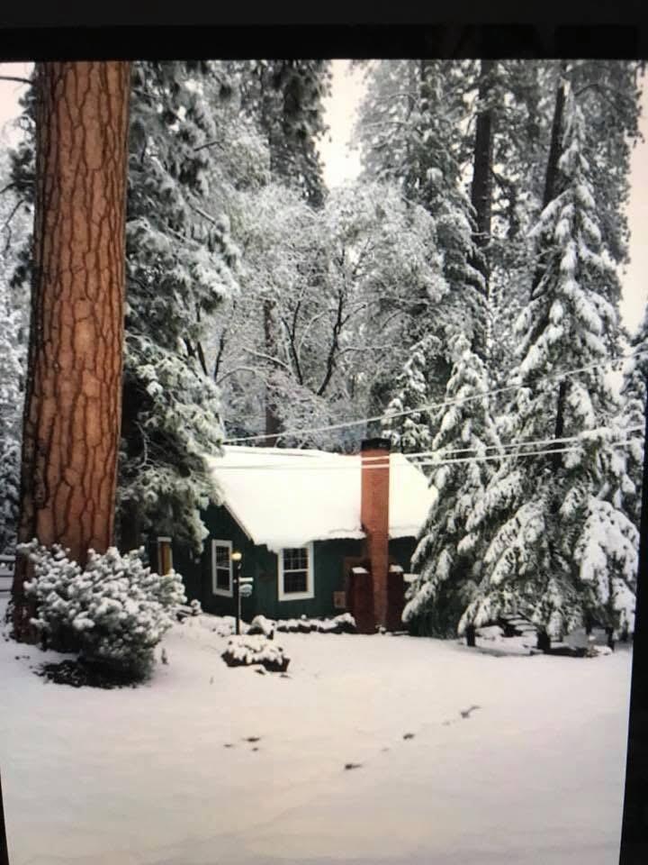 620 Loop Dr, Camp Nelson, CA 93265