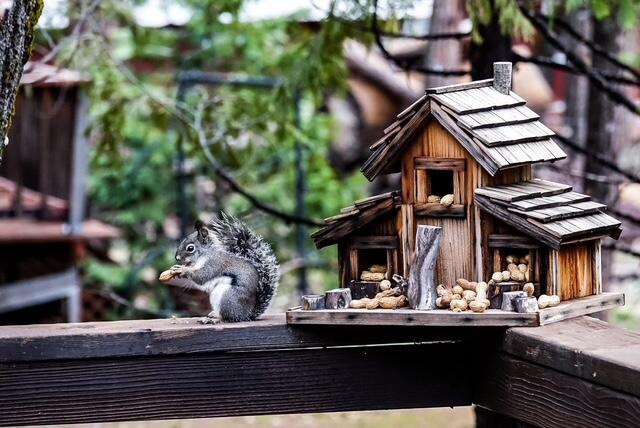 620 Loop Dr, Camp Nelson, CA 93265