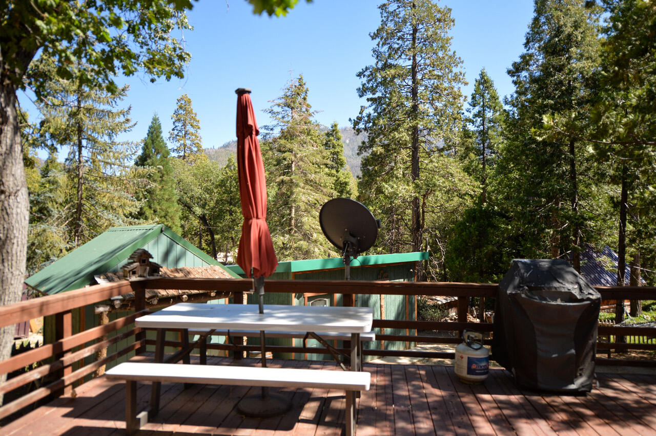 620 Loop Dr, Camp Nelson, CA 93265