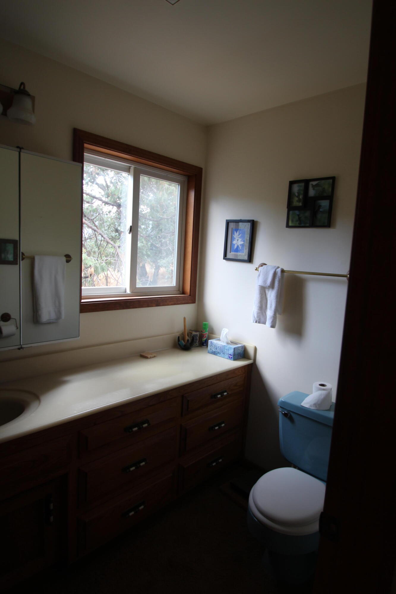 340 Mariposa Dr, Pierpoint Springs, CA 93265