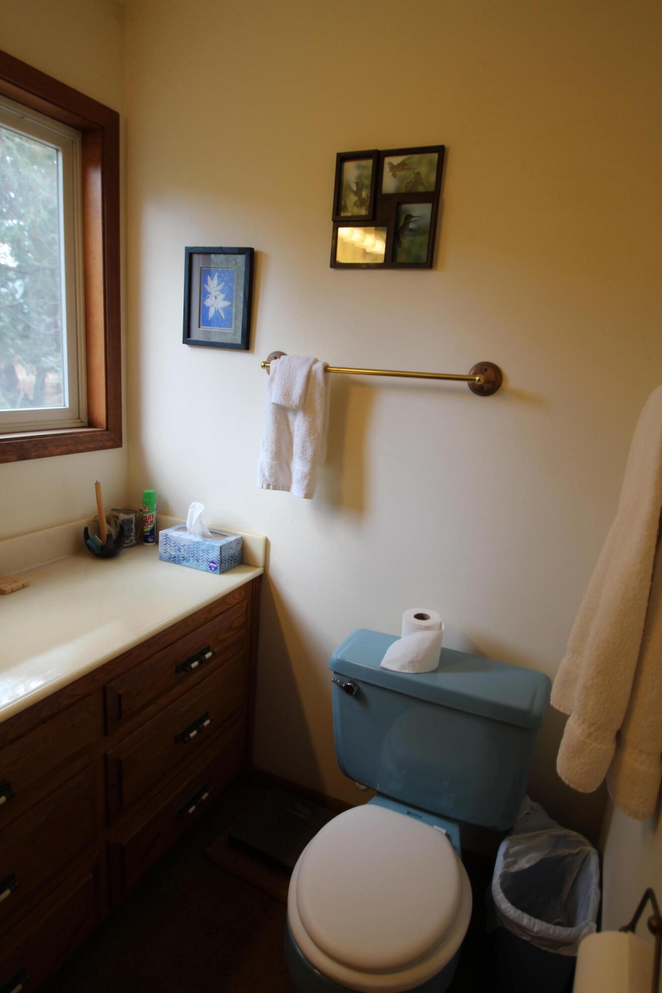 340 Mariposa Dr, Pierpoint Springs, CA 93265