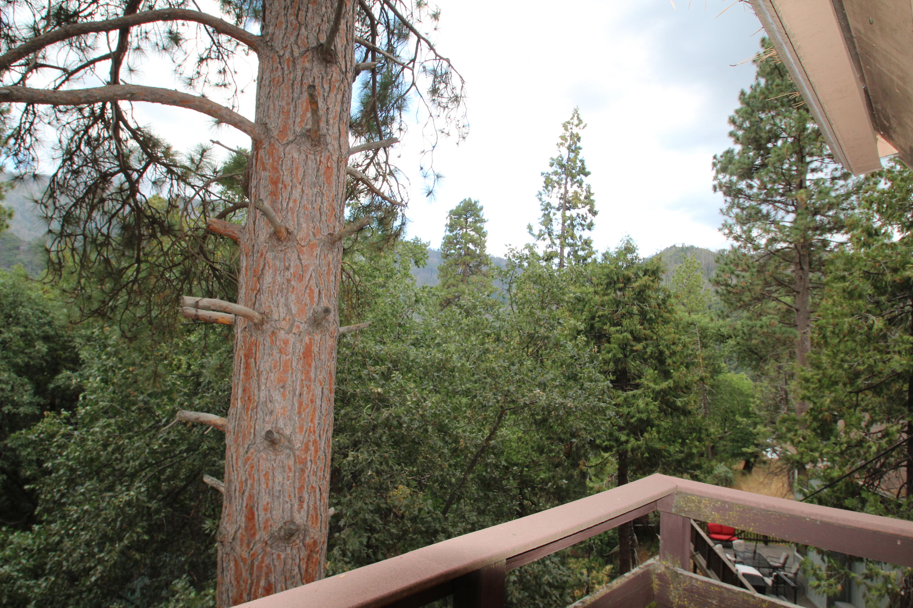 340 Mariposa Dr, Pierpoint Springs, CA 93265