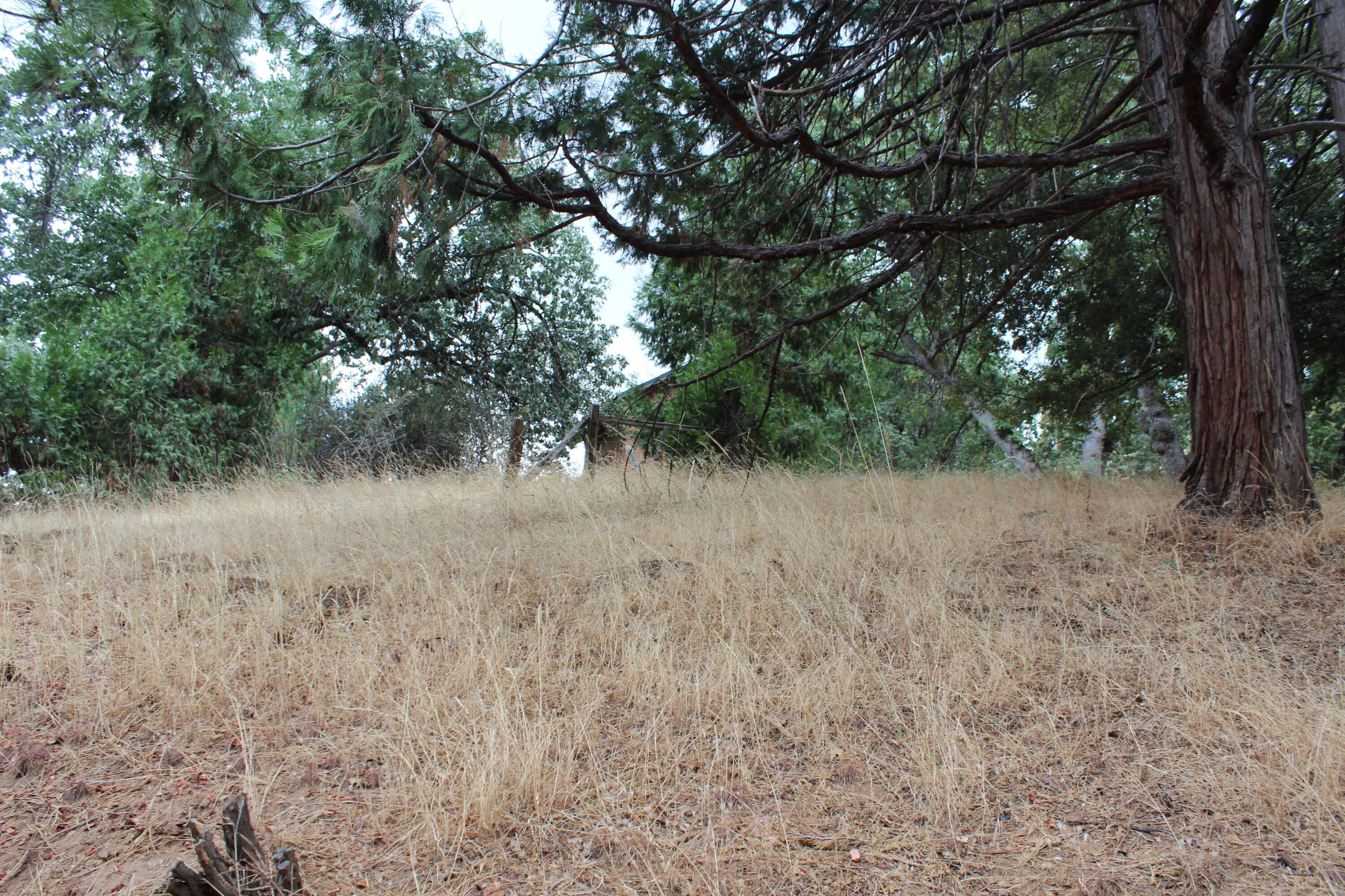 340 Mariposa Dr, Pierpoint Springs, CA 93265