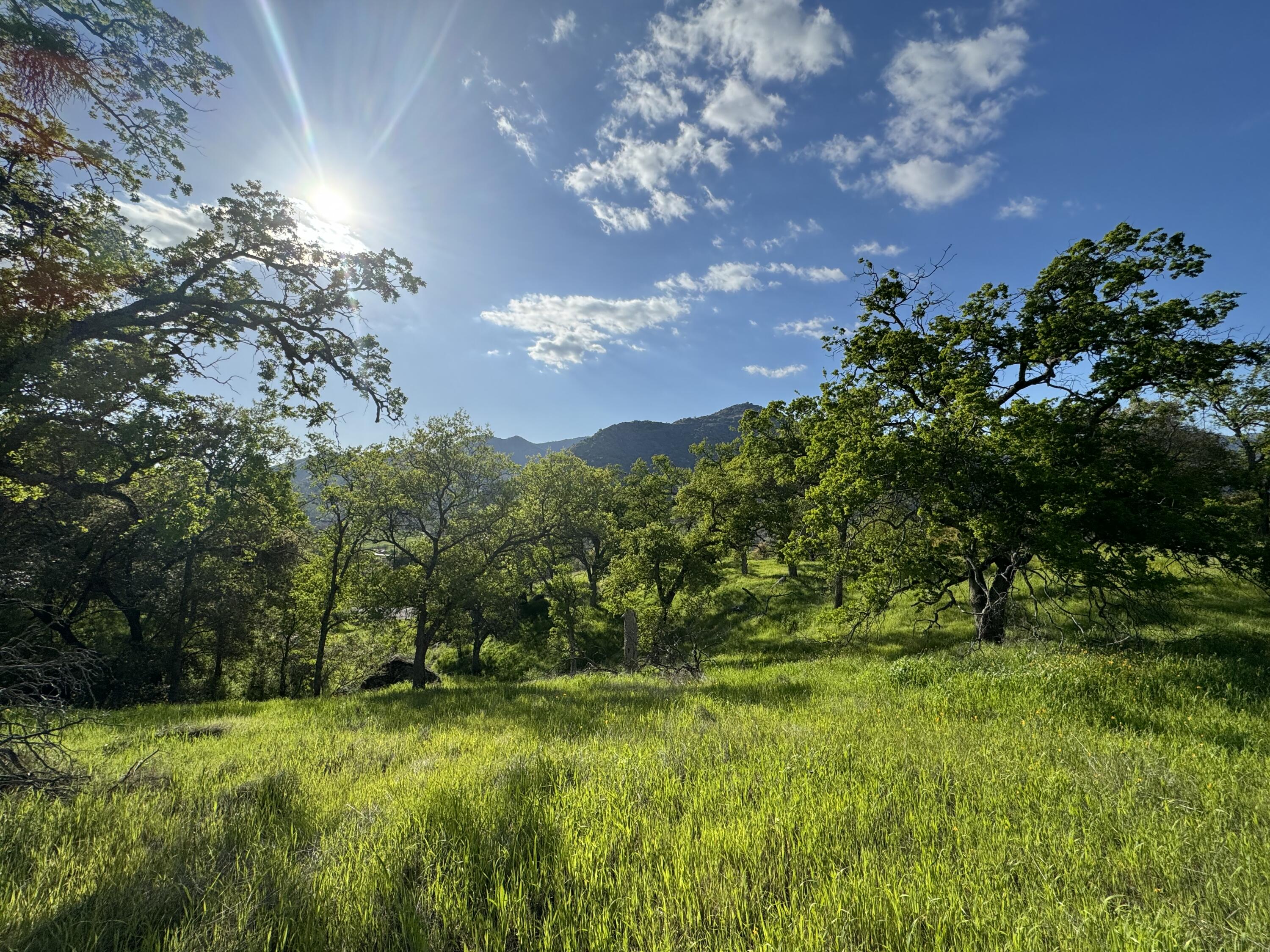 0 Mynatt Dr, Three Rivers, CA 93271