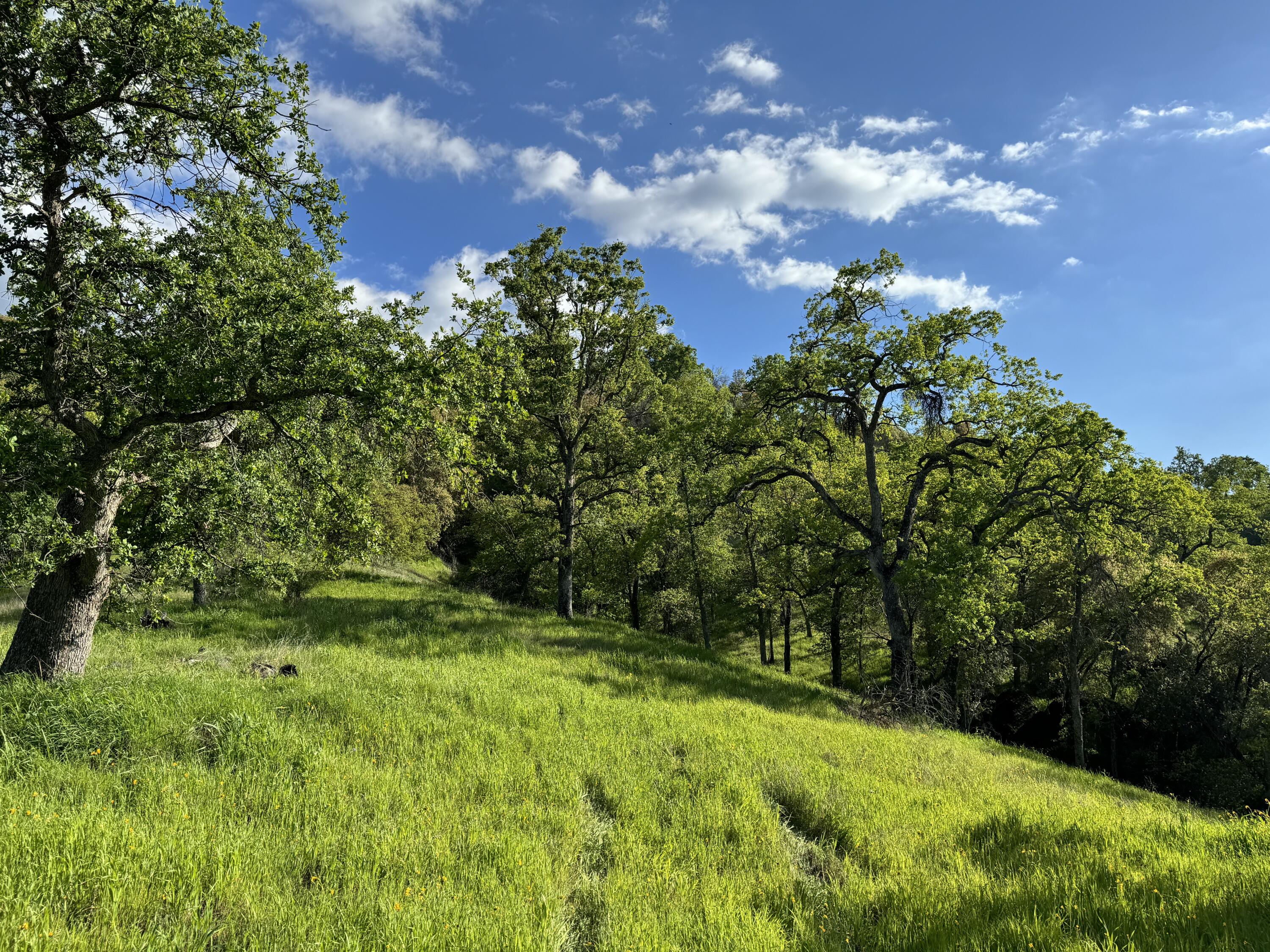 0 Mynatt Dr, Three Rivers, CA 93271