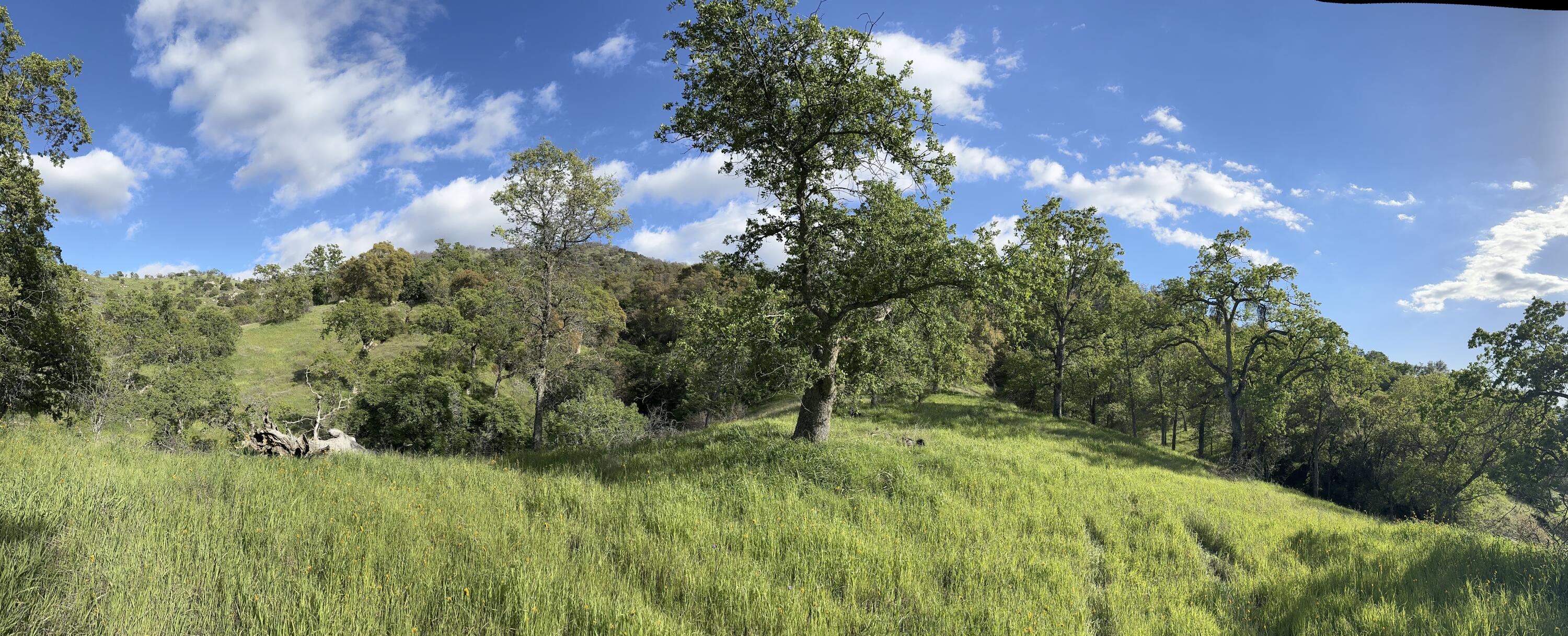 0 Mynatt Dr, Three Rivers, CA 93271