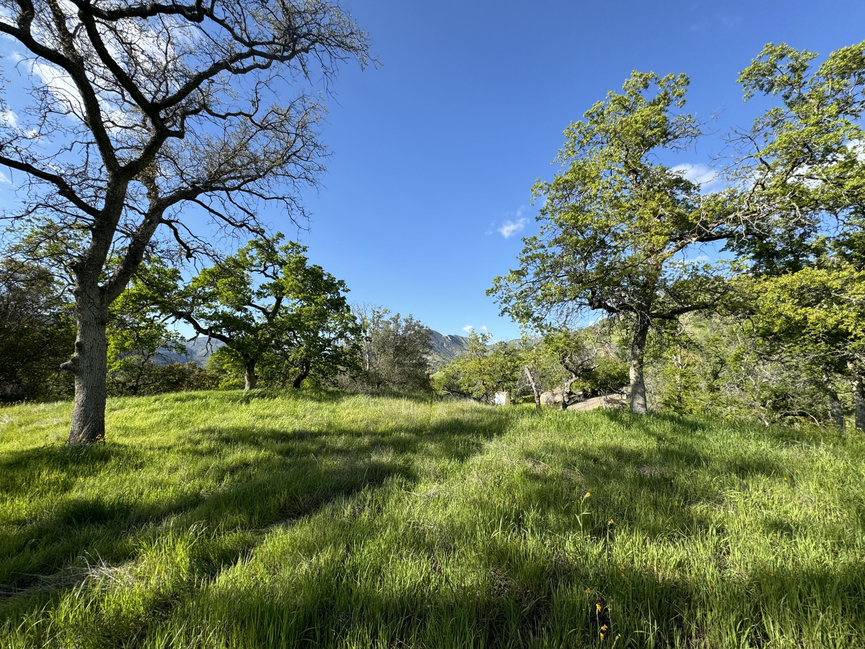 0 Mynatt Dr, Three Rivers, CA 93271