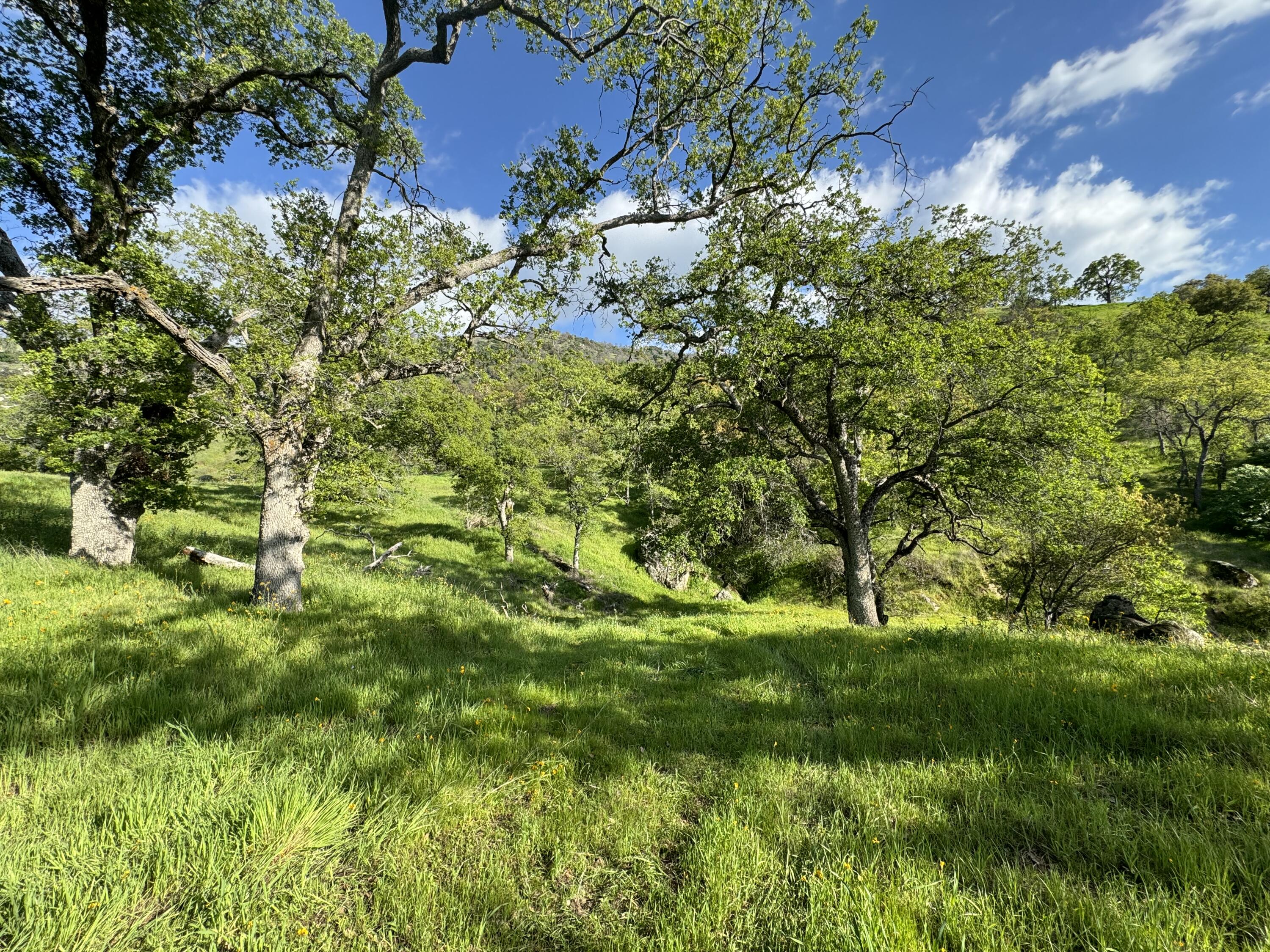 0 Mynatt Dr, Three Rivers, CA 93271