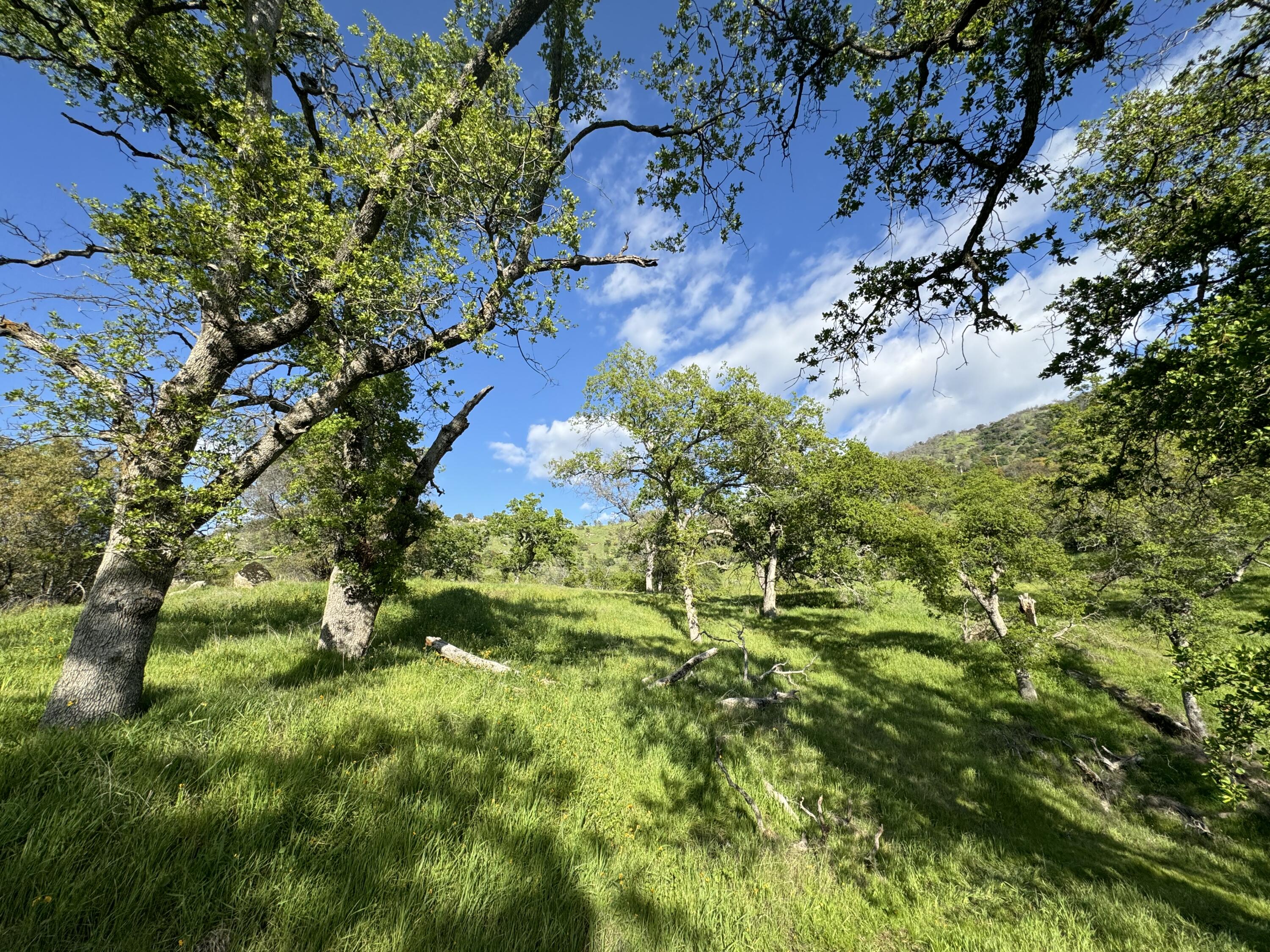 0 Mynatt Dr, Three Rivers, CA 93271