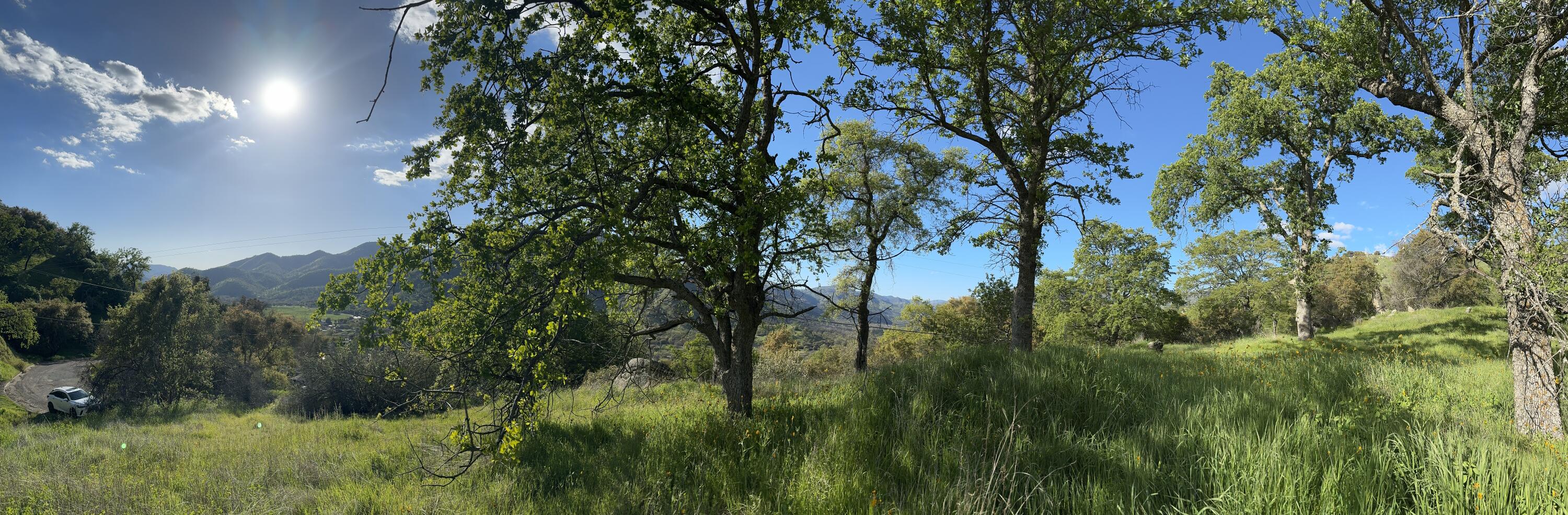 0 Mynatt Dr, Three Rivers, CA 93271