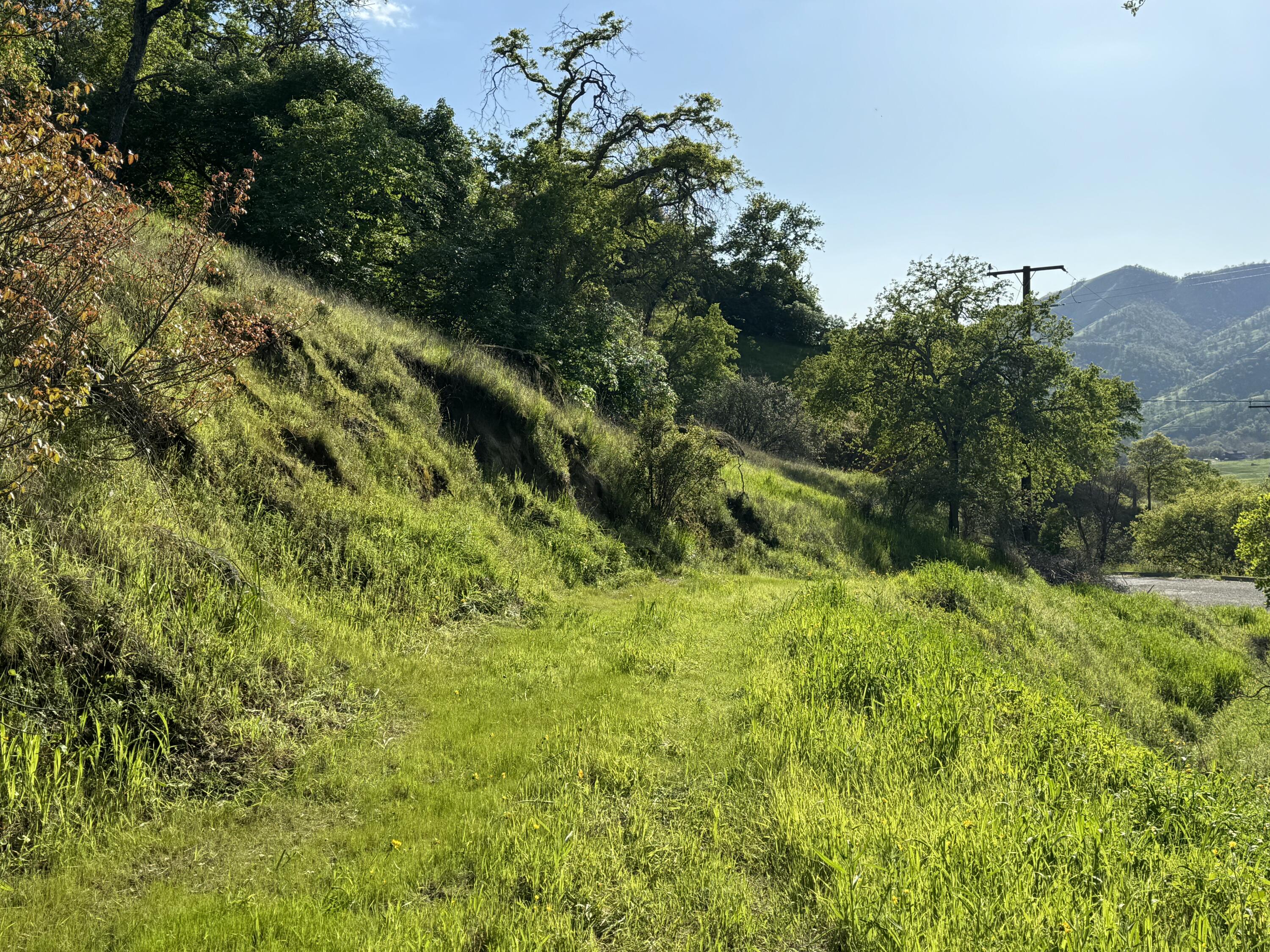 0 Mynatt Dr, Three Rivers, CA 93271