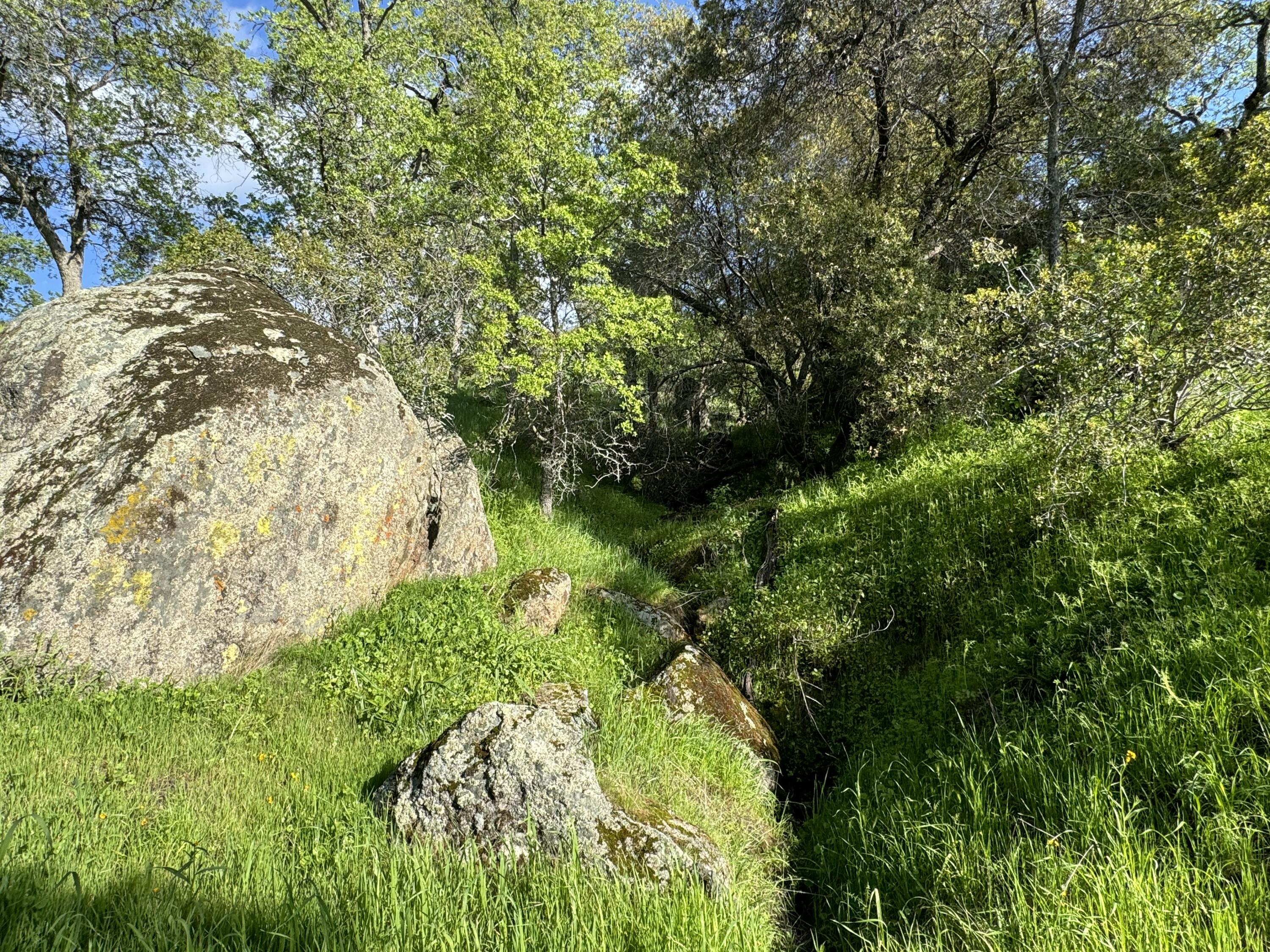 0 Mynatt Dr, Three Rivers, CA 93271