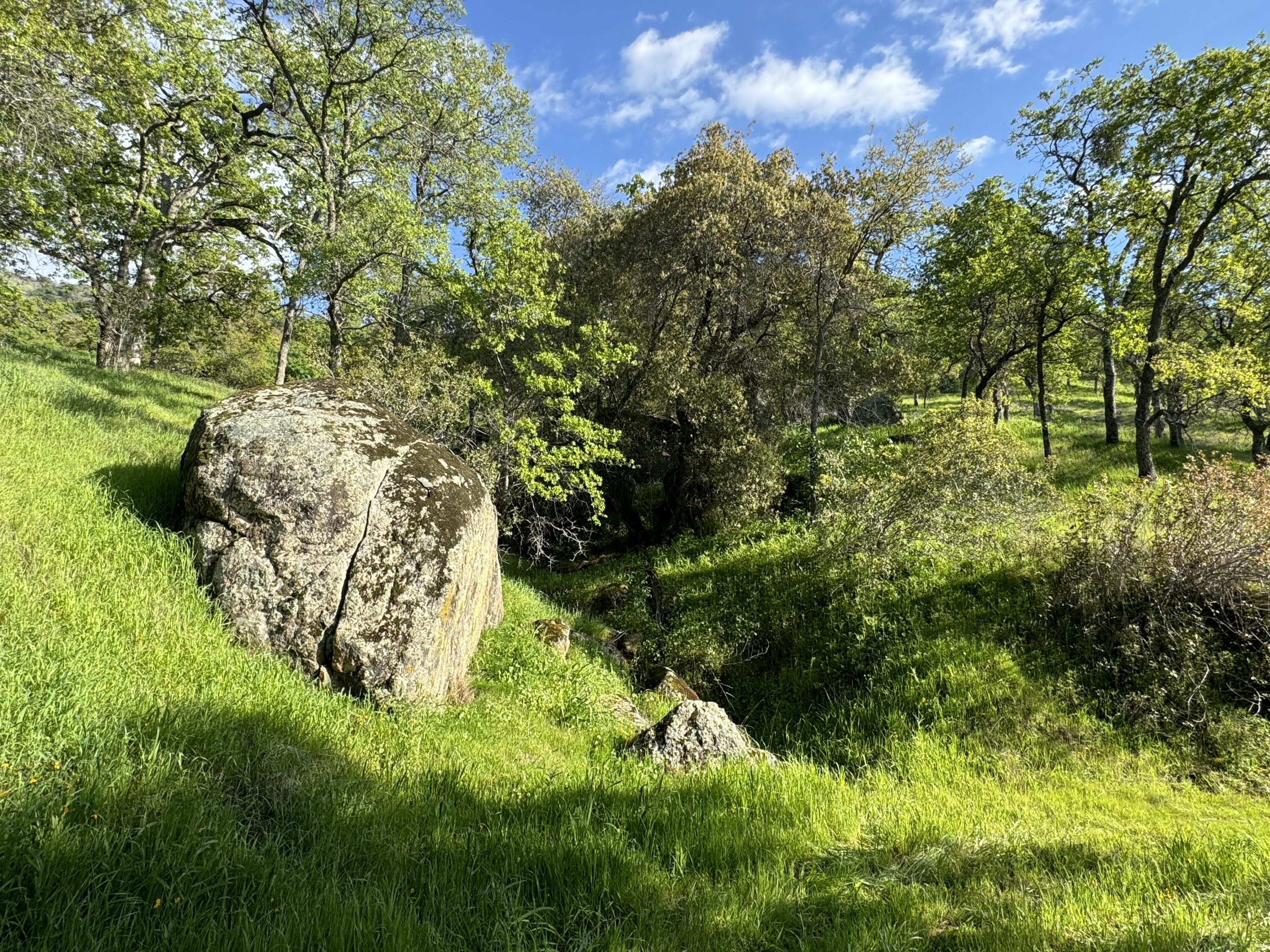 0 Mynatt Dr, Three Rivers, CA 93271