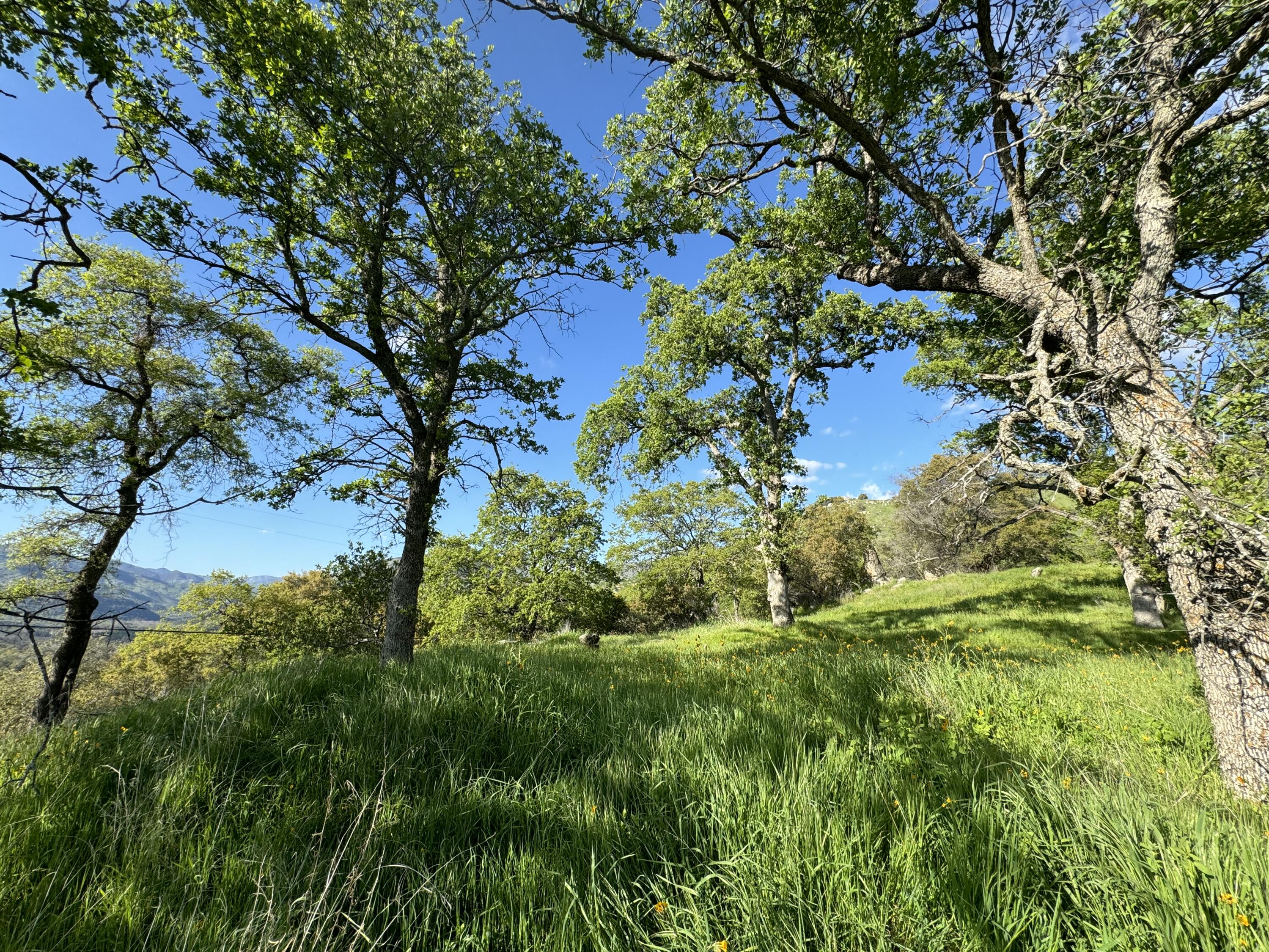 0 Mynatt Dr, Three Rivers, CA 93271