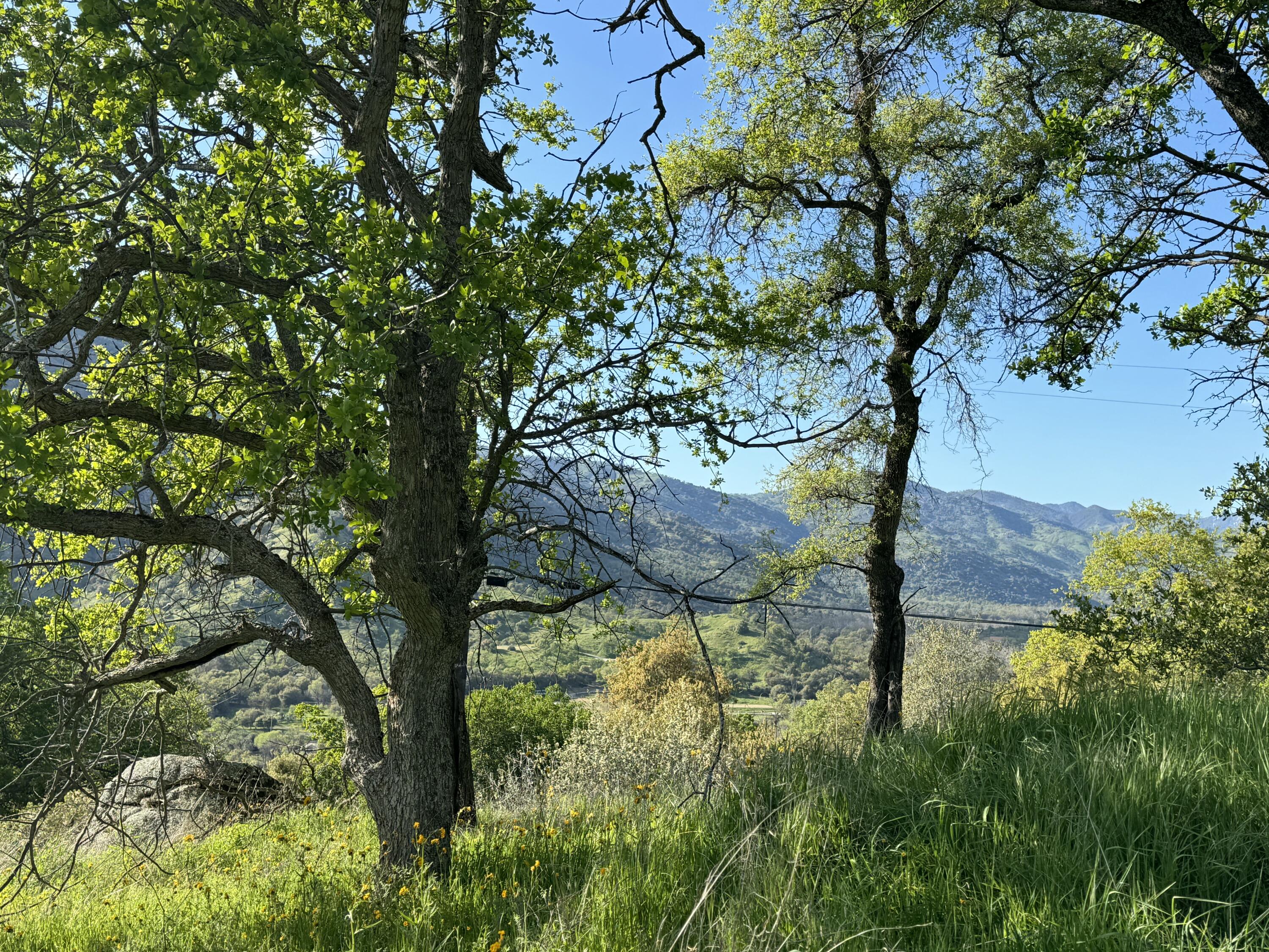 0 Mynatt Dr, Three Rivers, CA 93271