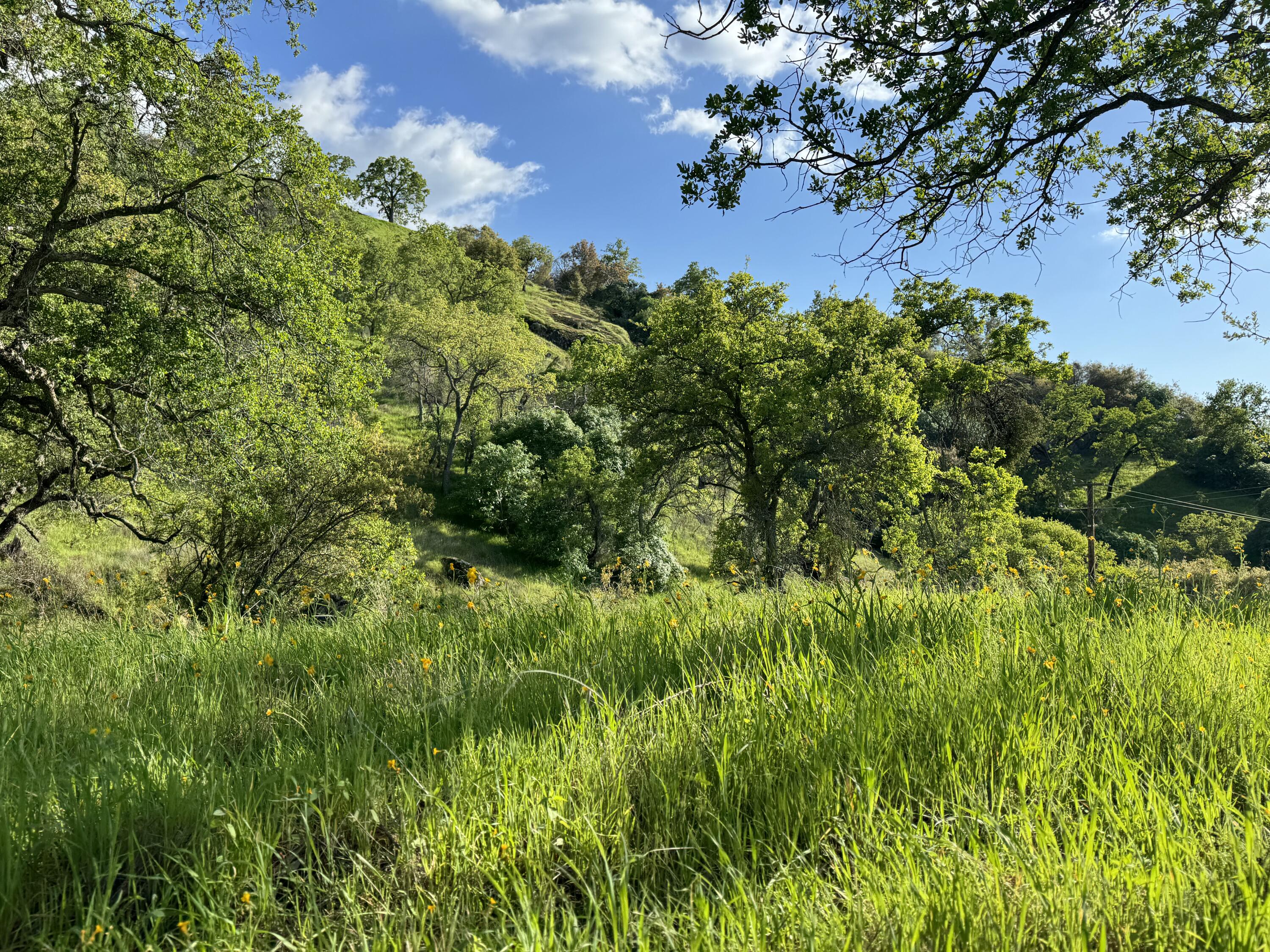 0 Mynatt Dr, Three Rivers, CA 93271