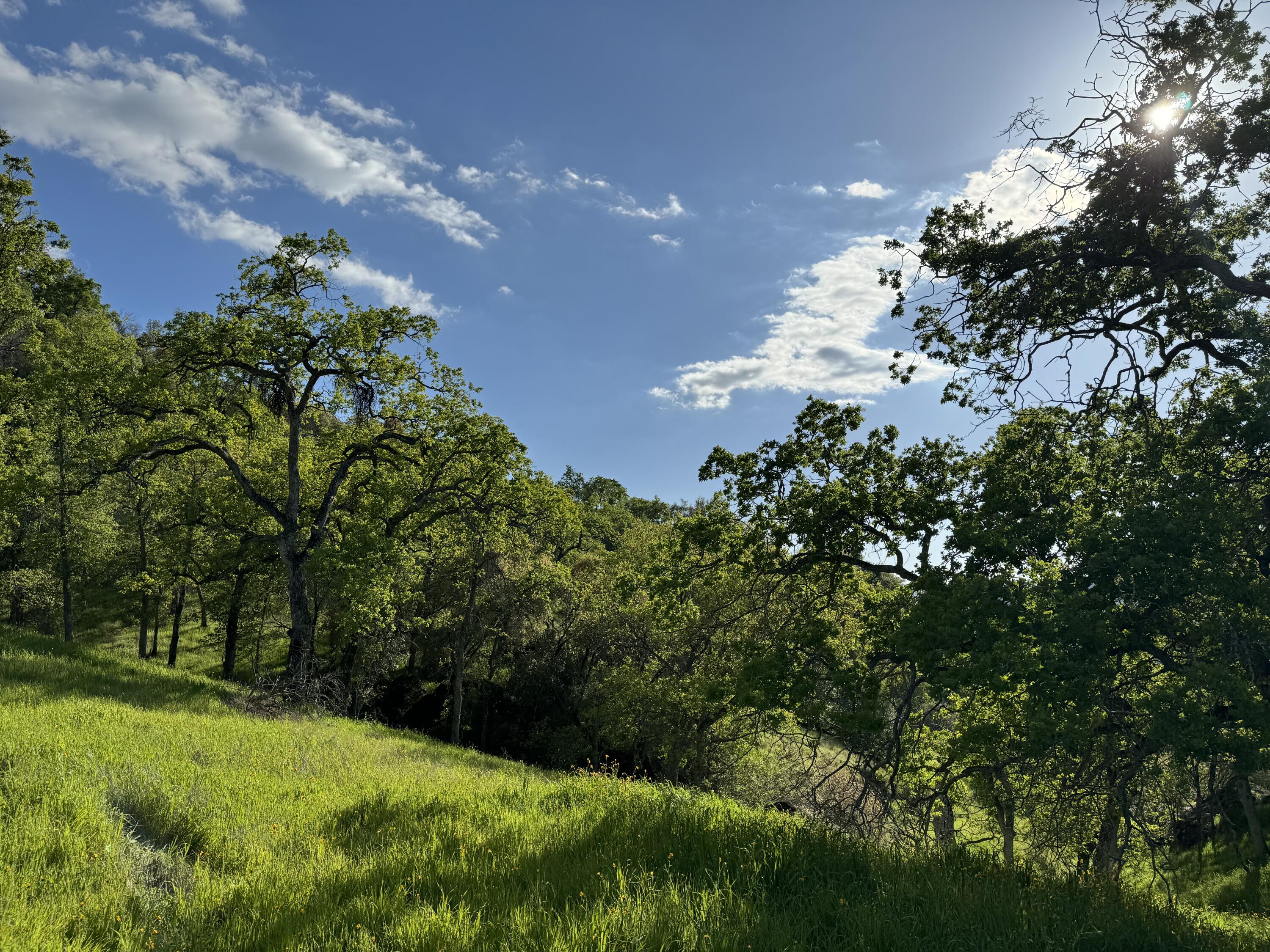 0 Mynatt Dr, Three Rivers, CA 93271